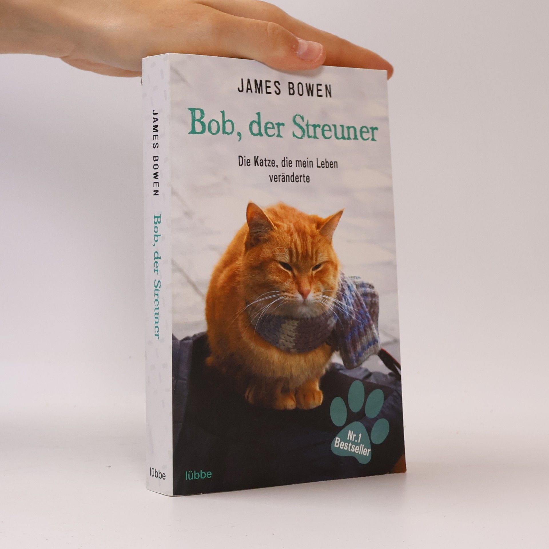James Bowen Bob, der Streuner