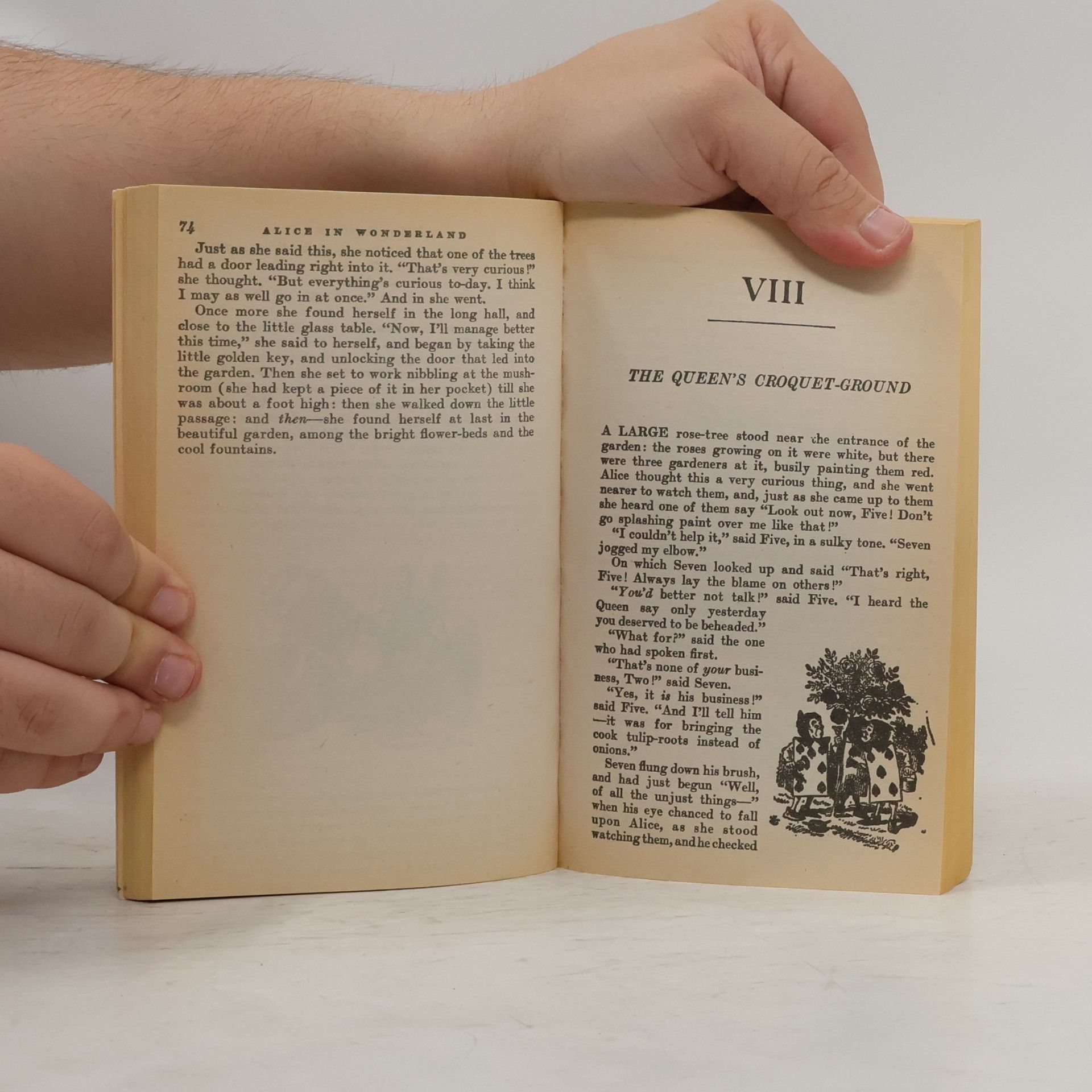 Lewis Carroll Alice's Adventures in Wonderland & Through the Looking-Glass
