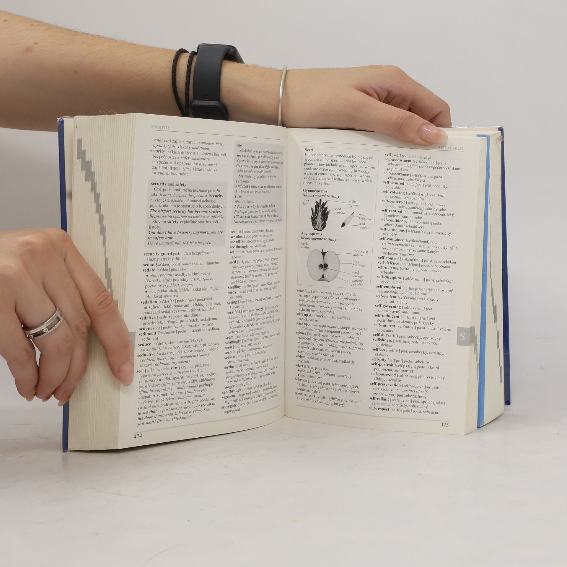 Autorenkollektiv Ilustrovaný studijní slovník anglicko-český