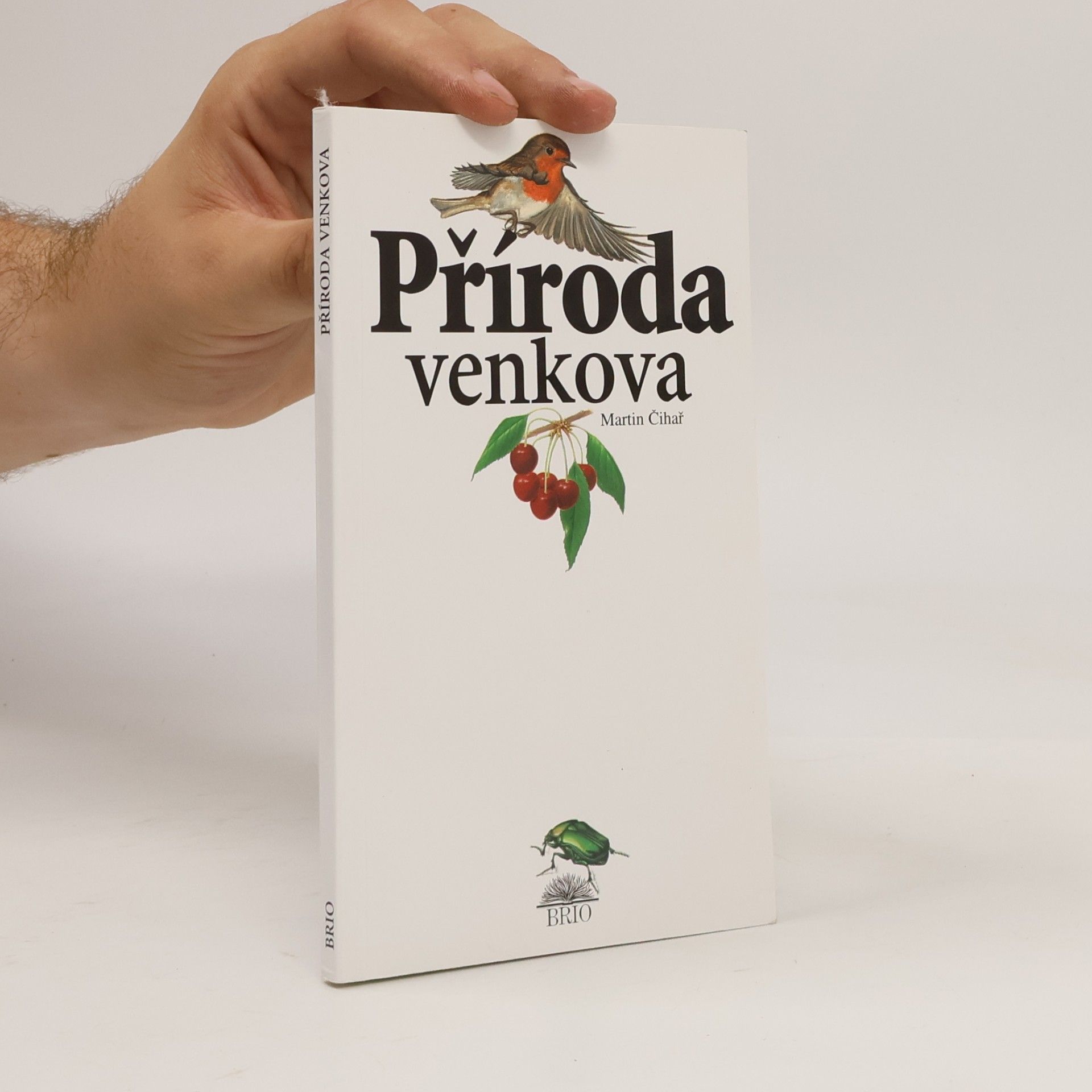 Grigorij Borisovič Jagdfeld Příroda venkova