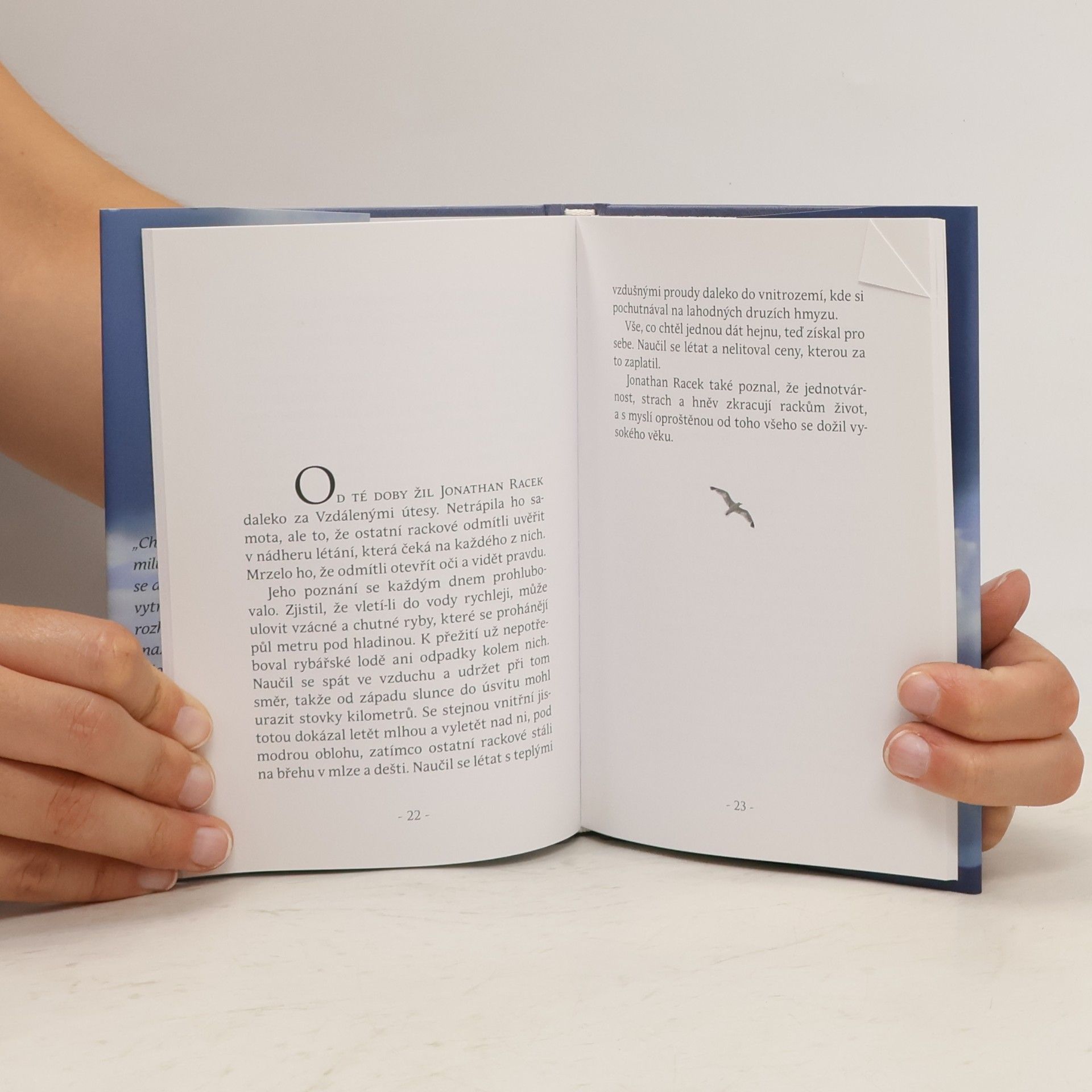 Richard Bach Jonathan Livingston Racek