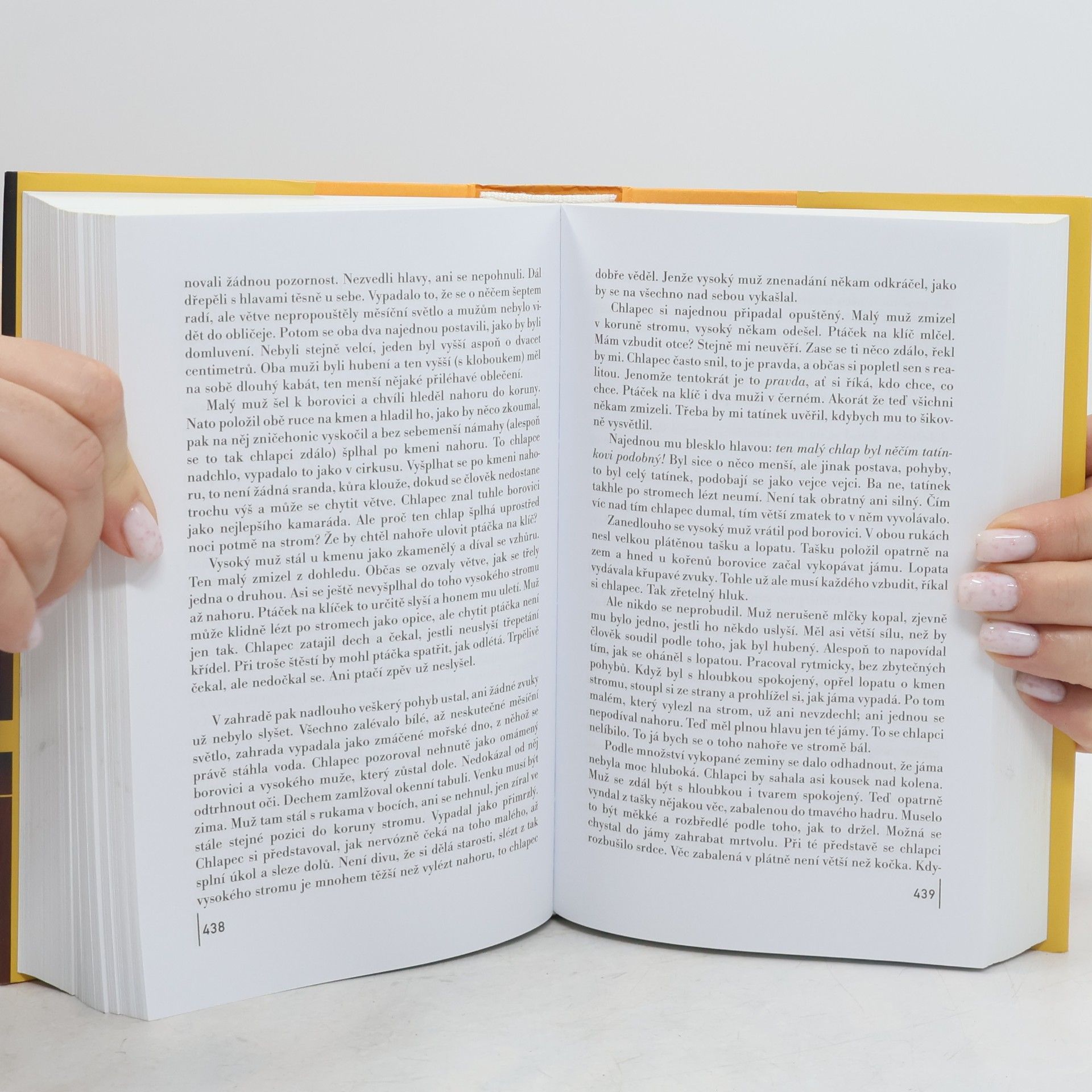 Haruki Murakami Kronika ptáčka na klíček