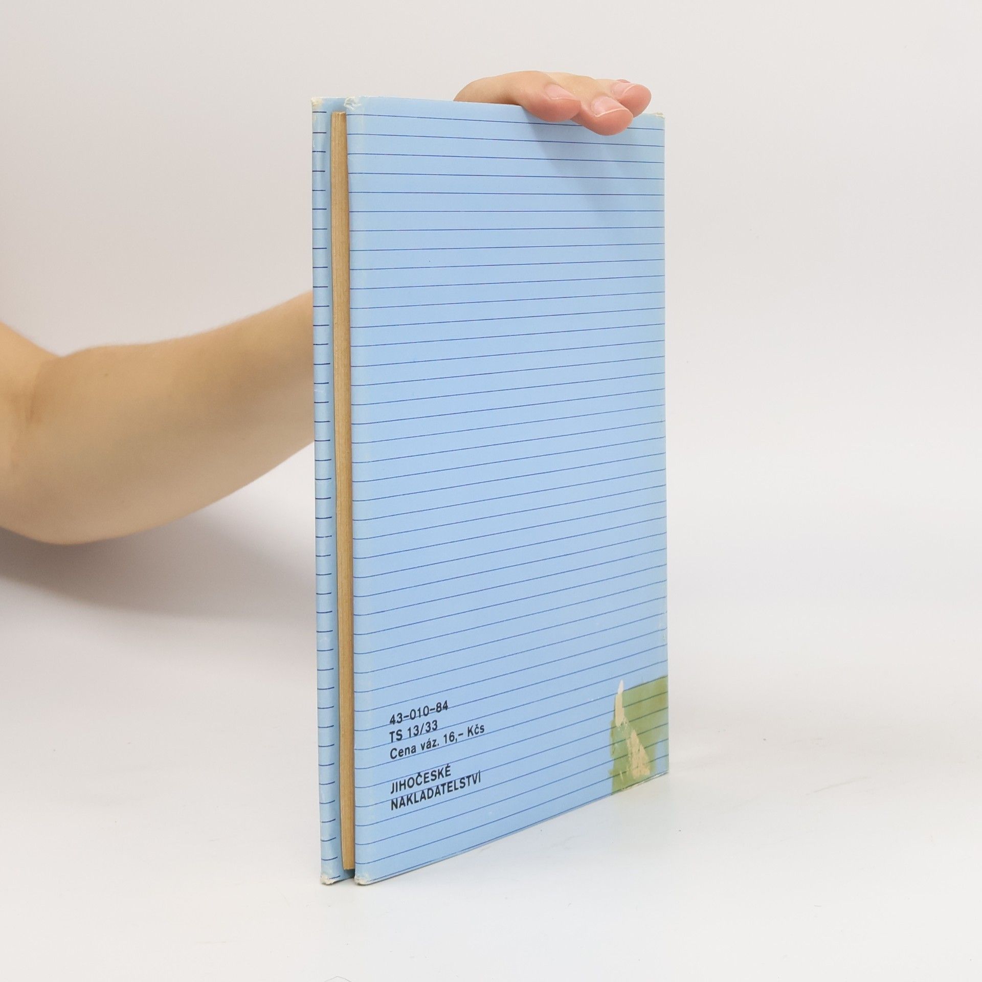 Milena Brůhová Nálet