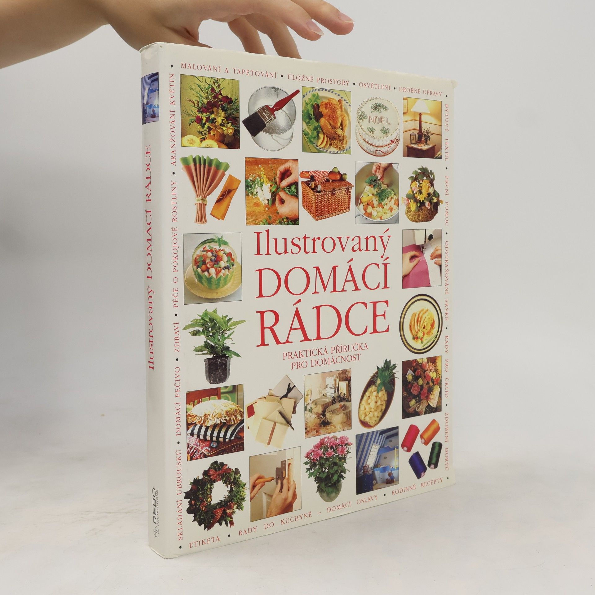 Dana Vaněčková Ilustrovaný domácí rádce