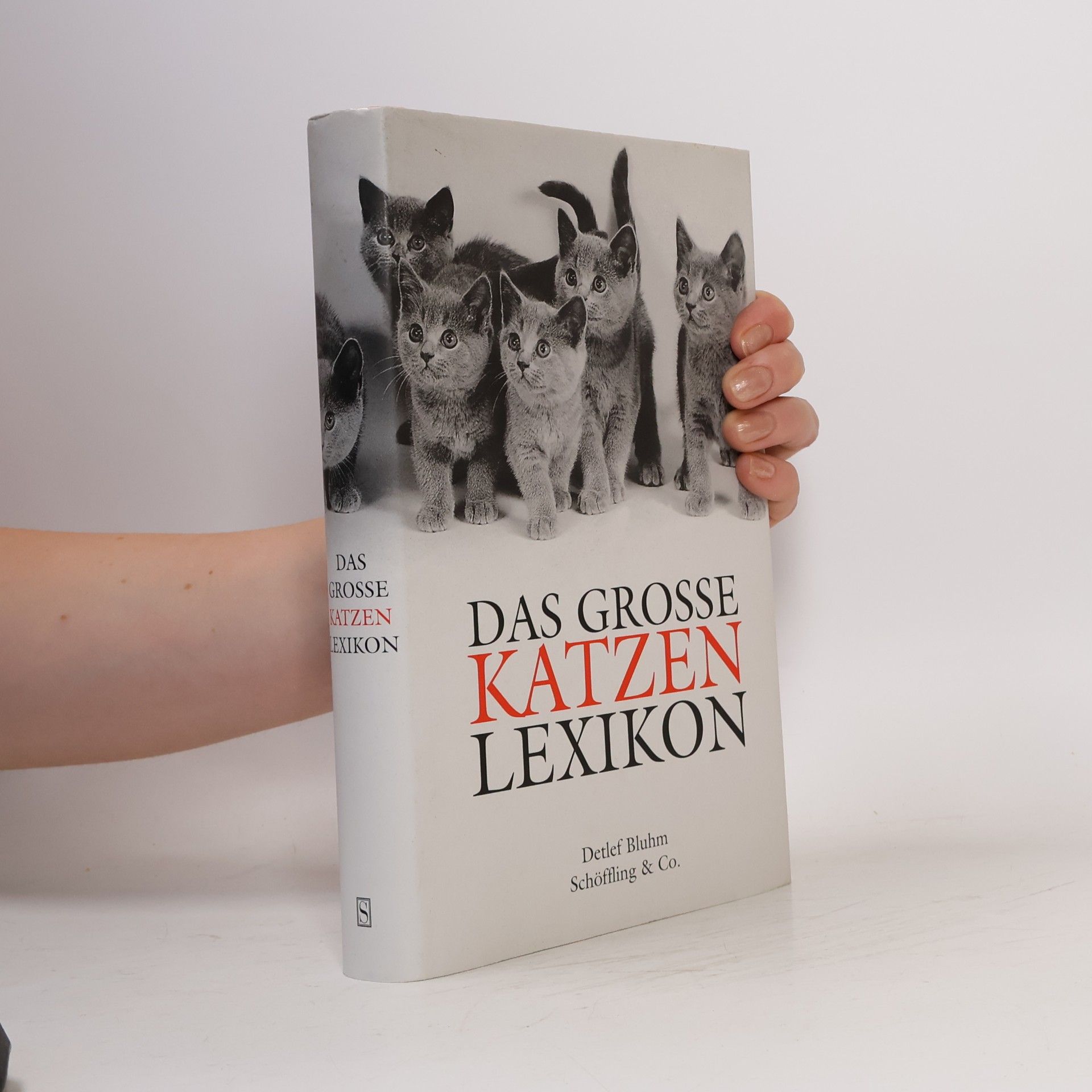Detlef Bluhm Das grosse Katzen-Lexikon