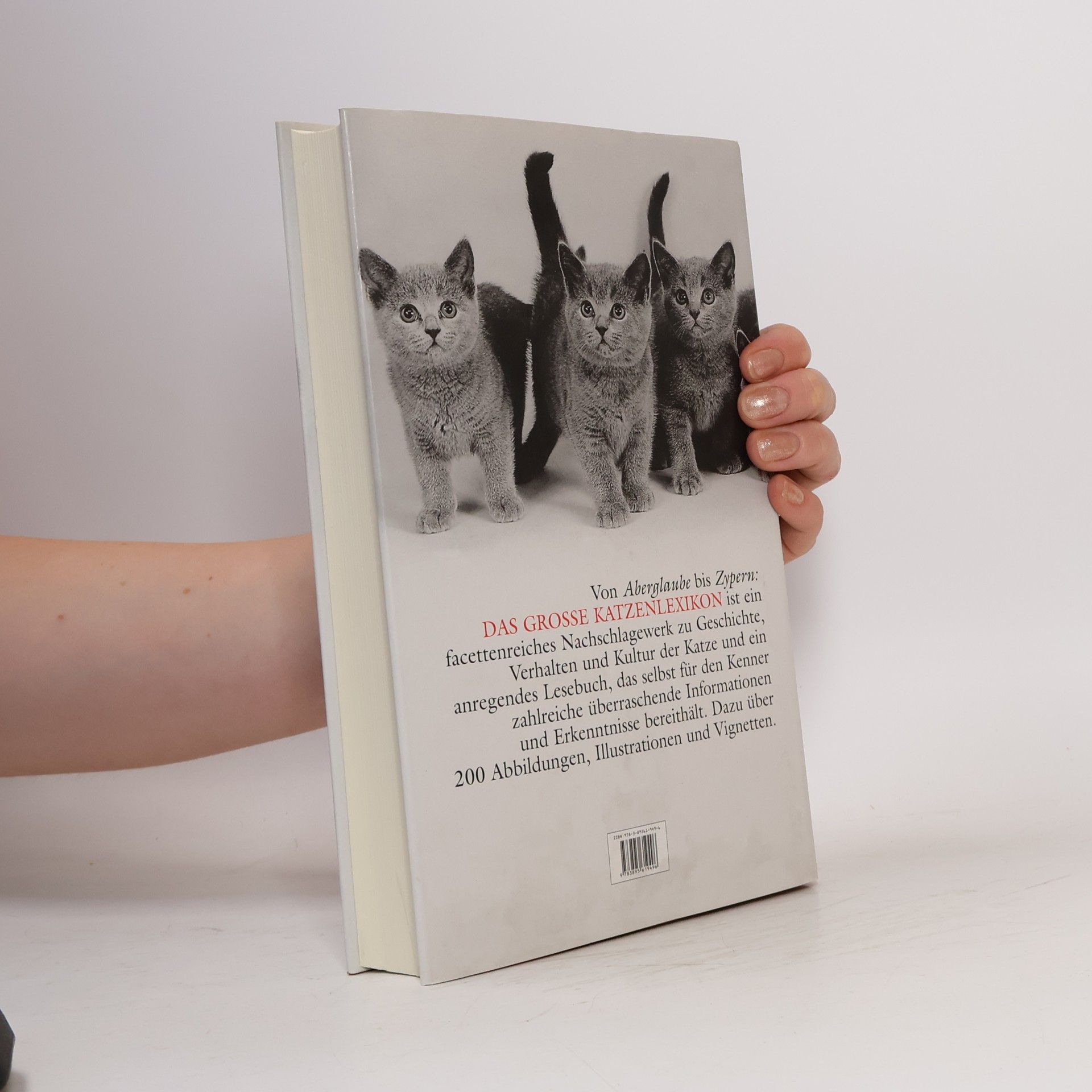 Detlef Bluhm Das grosse Katzen-Lexikon