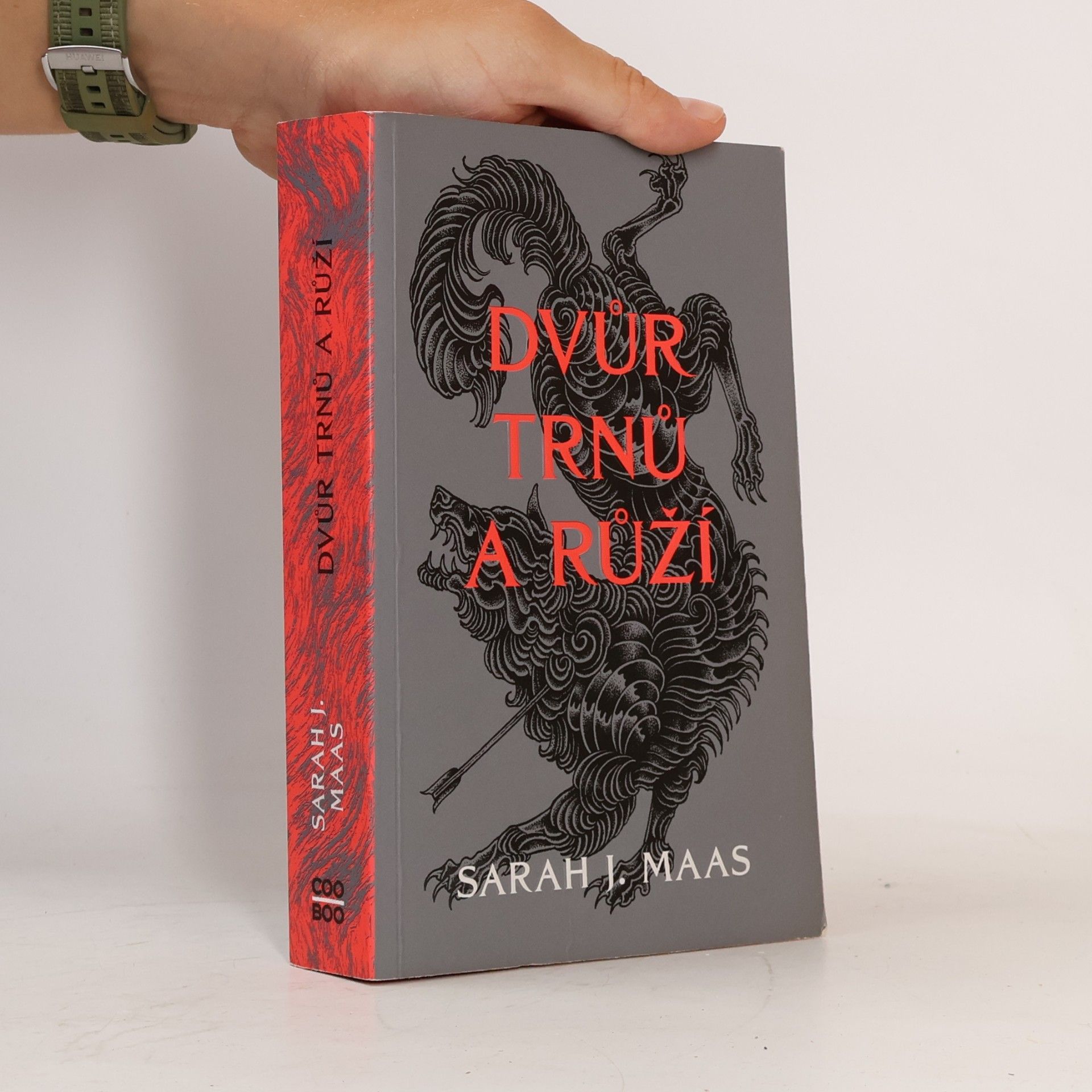 Sarah J. Maas Dvůr trnů a růží