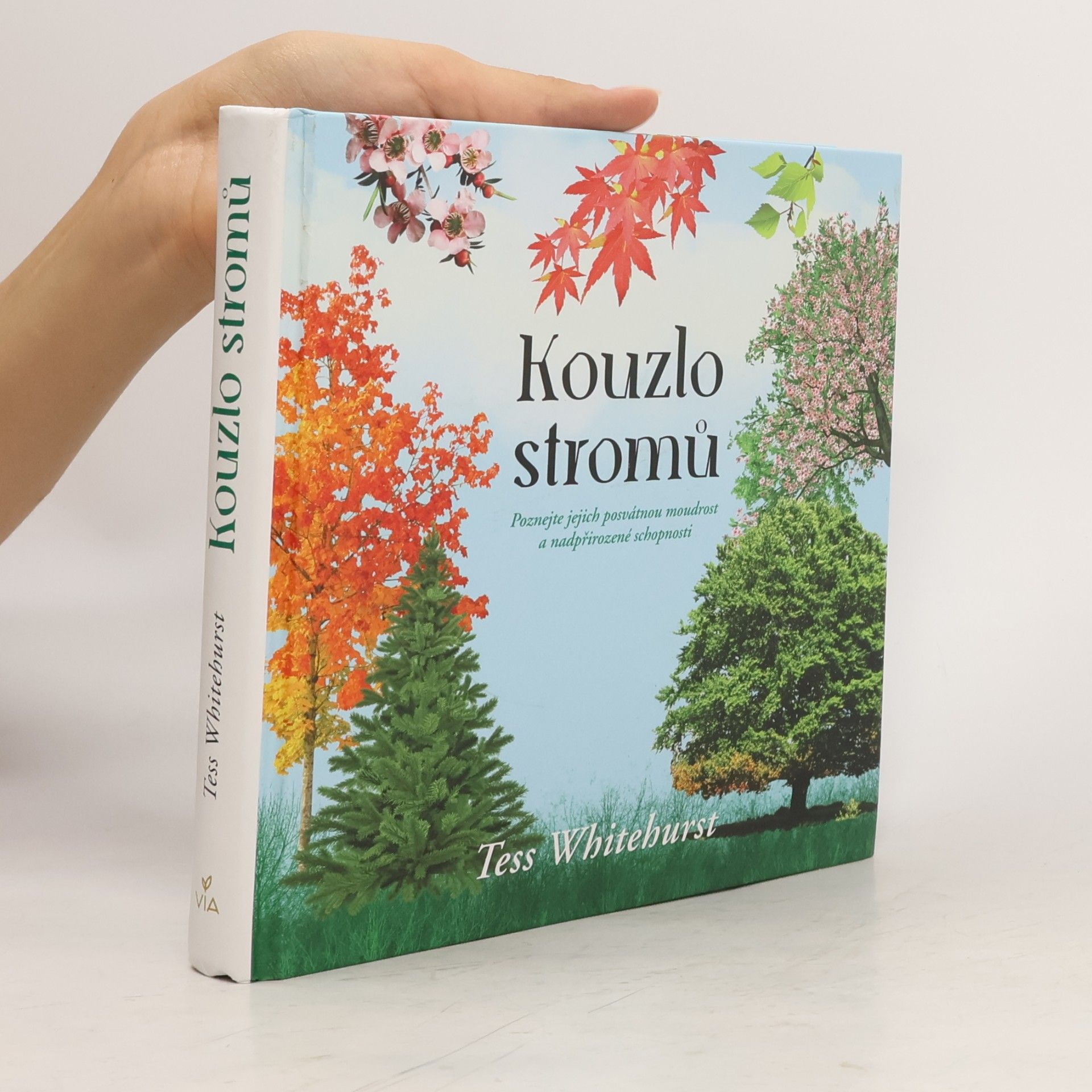 Kouzlo stromů : poznejte jejich posvátnou moudrost a nadpřirozené schopnosti
