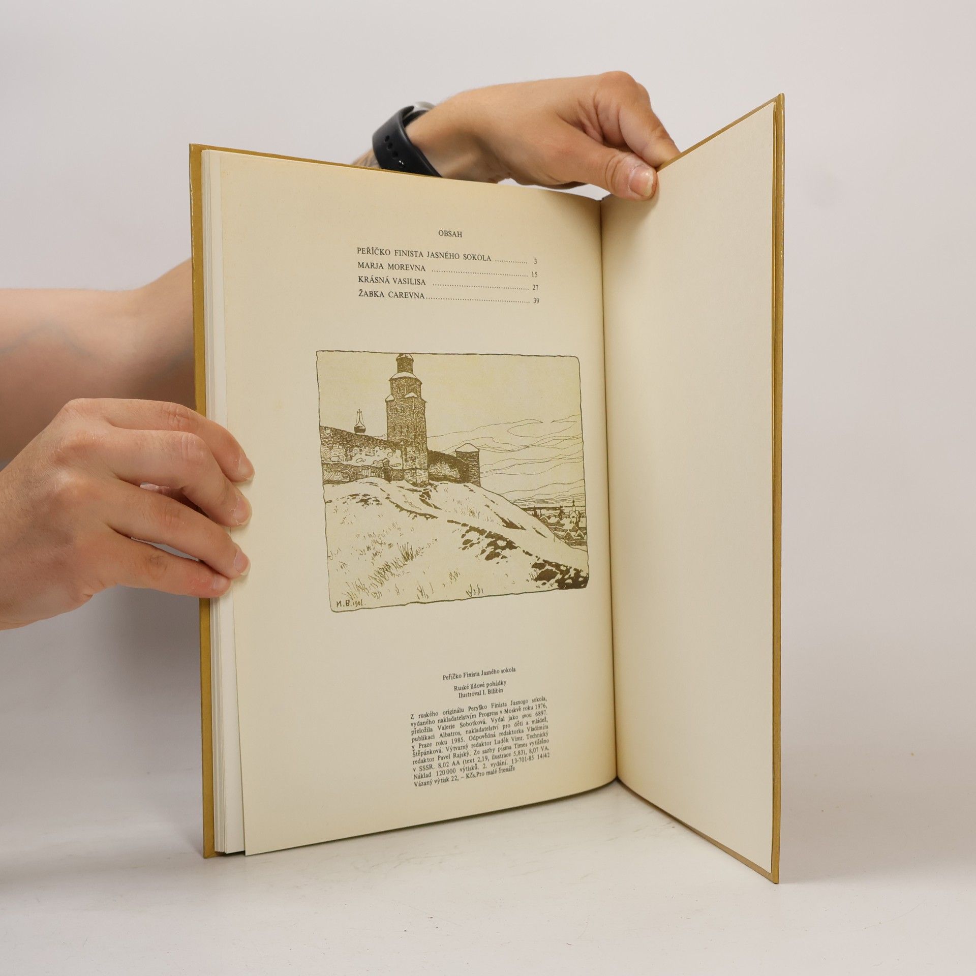 Various authors Peříčko Finista Jasného sokola