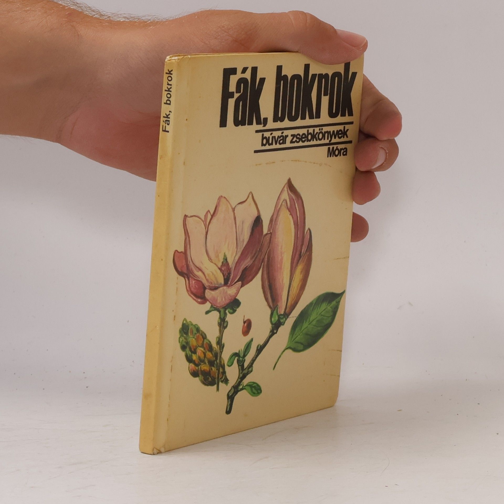 Bíró Krisztina Búvár zsebkönyvek: Fák, bokrok