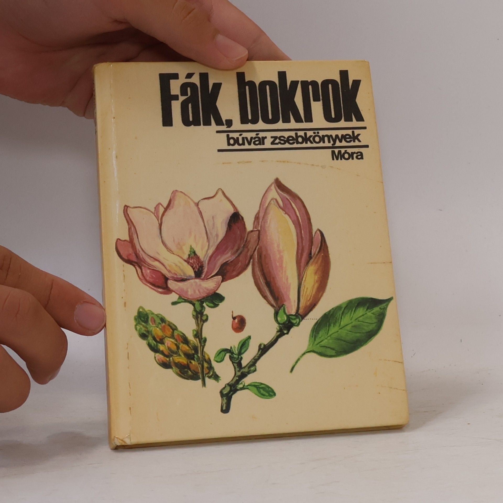 Bíró Krisztina Búvár zsebkönyvek: Fák, bokrok
