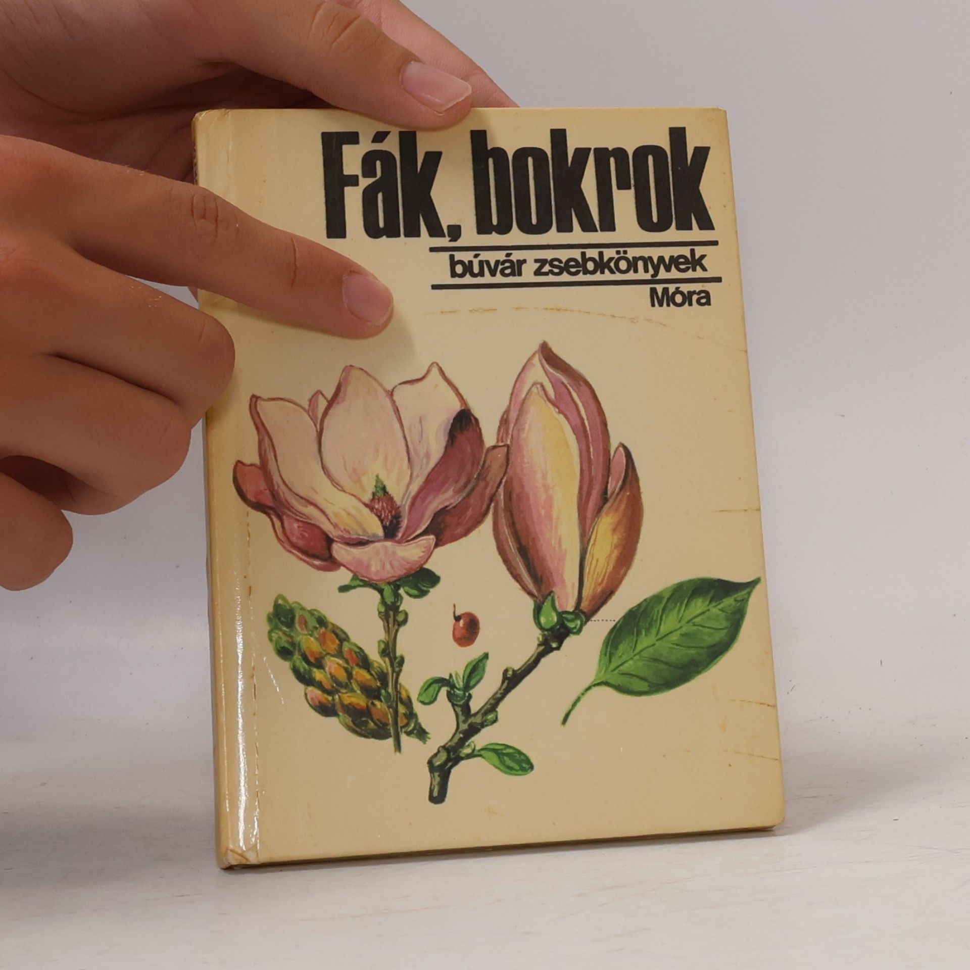 Bíró Krisztina Búvár zsebkönyvek: Fák, bokrok
