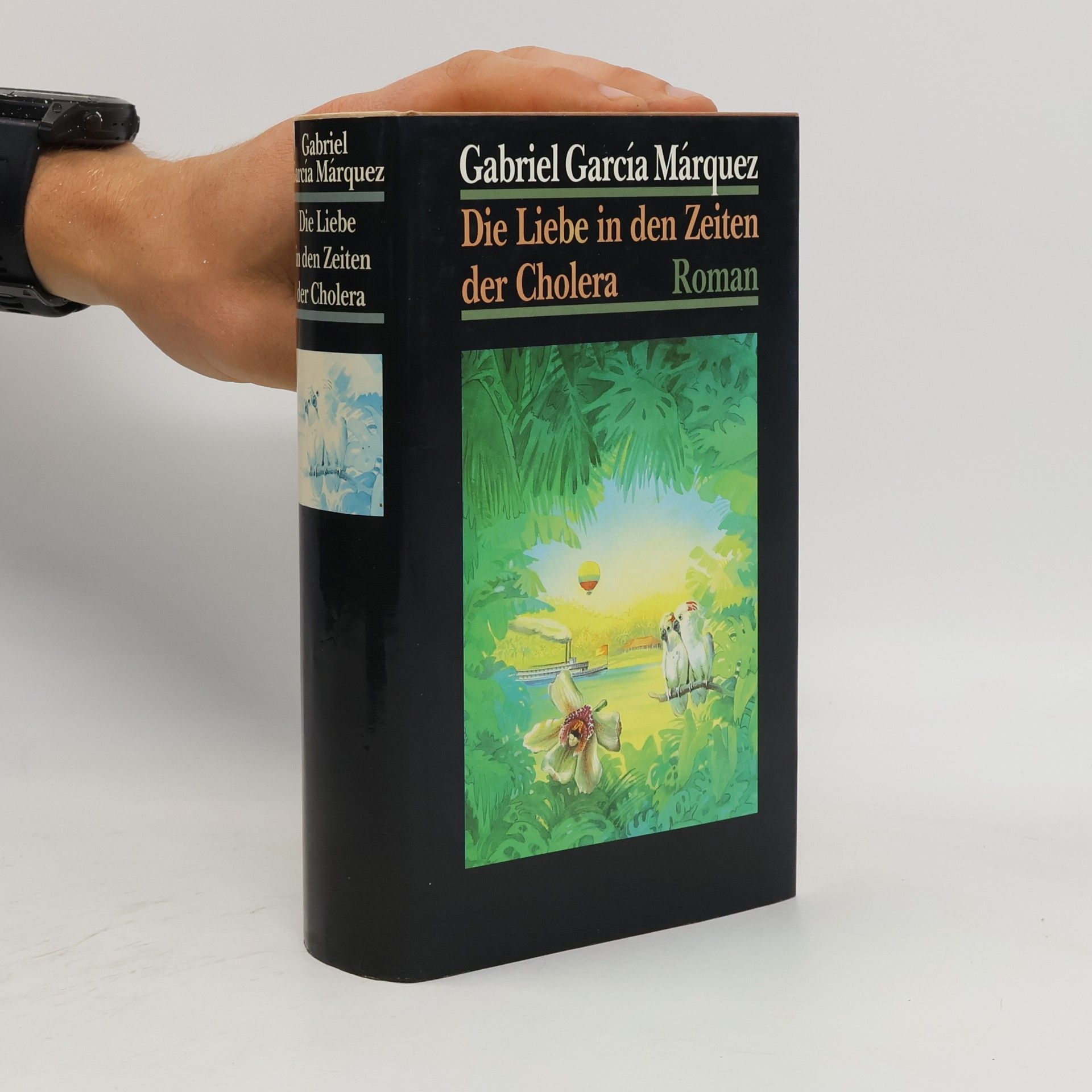 Gabriel García Márquez Die Liebe in den Zeiten der Cholera
