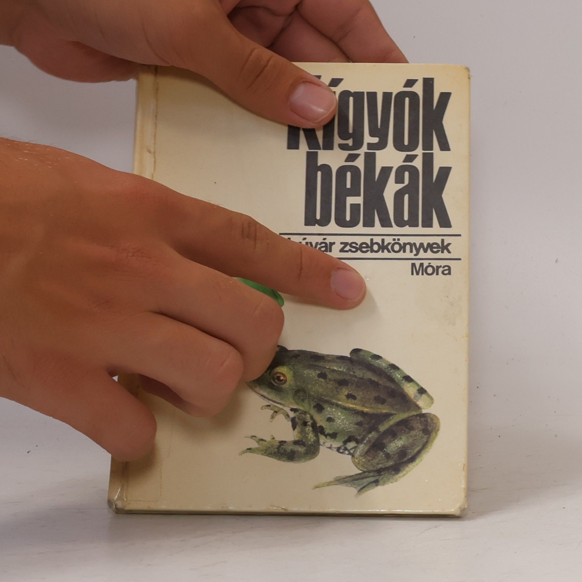 Kígyók, békák