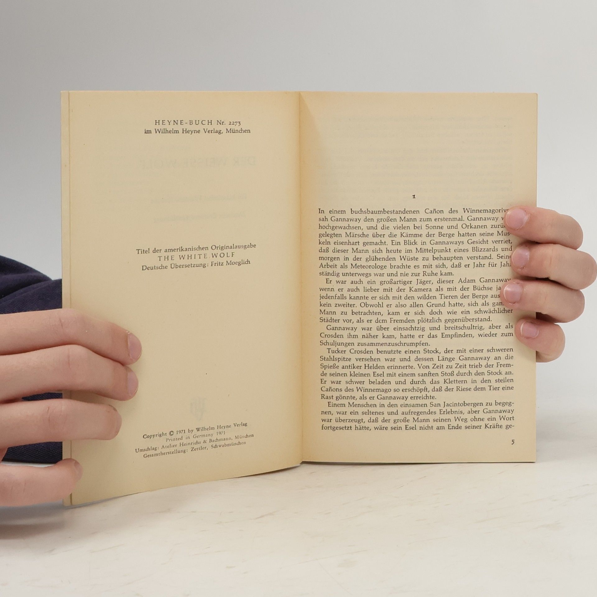 Max Brand Der wisse Wolf