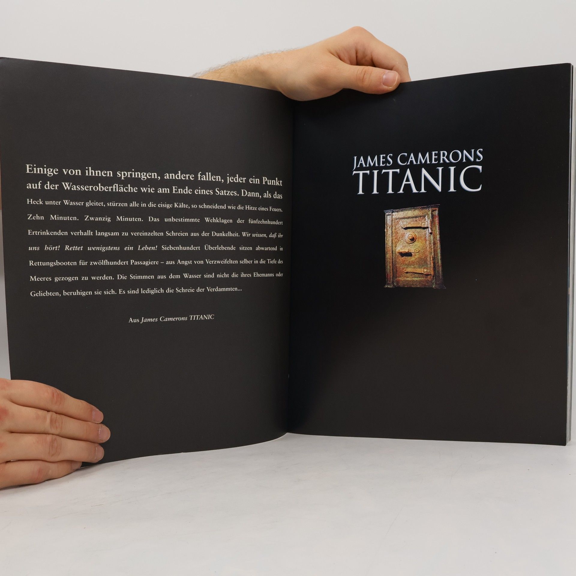 Autorenkollektiv James Cameron's Titanic
