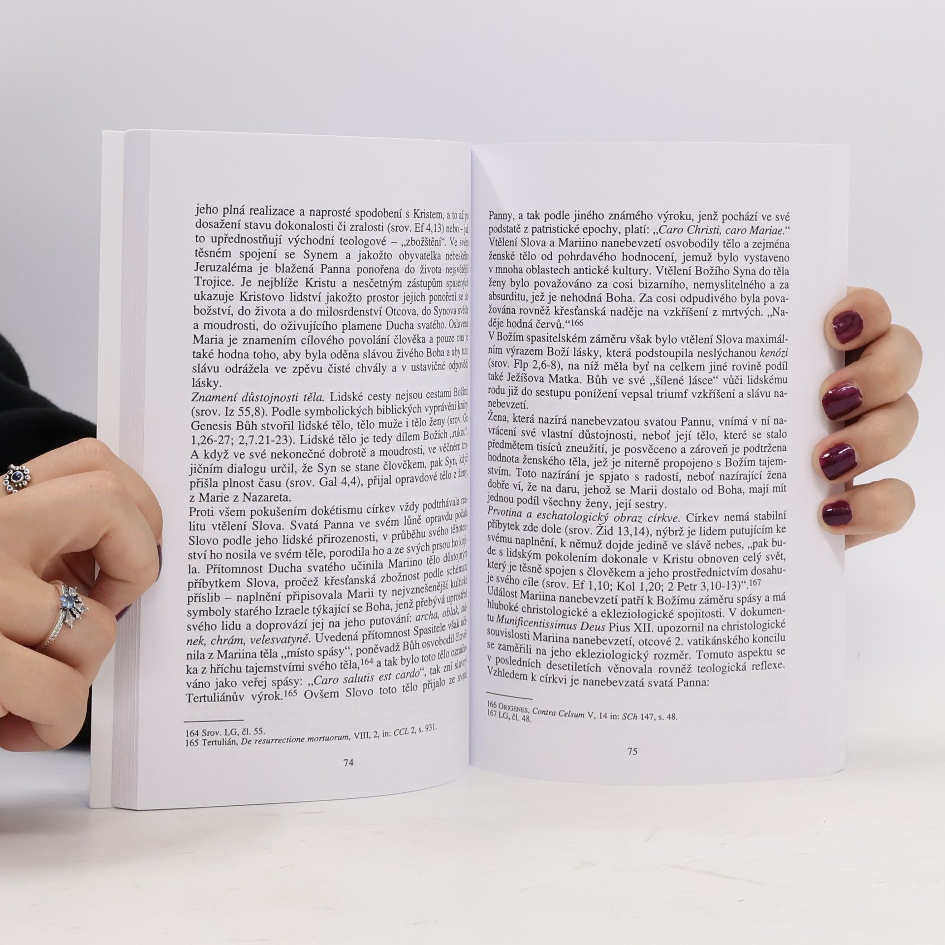 Autorenkollektiv Matka Páně: památka - přítomnost - naděje