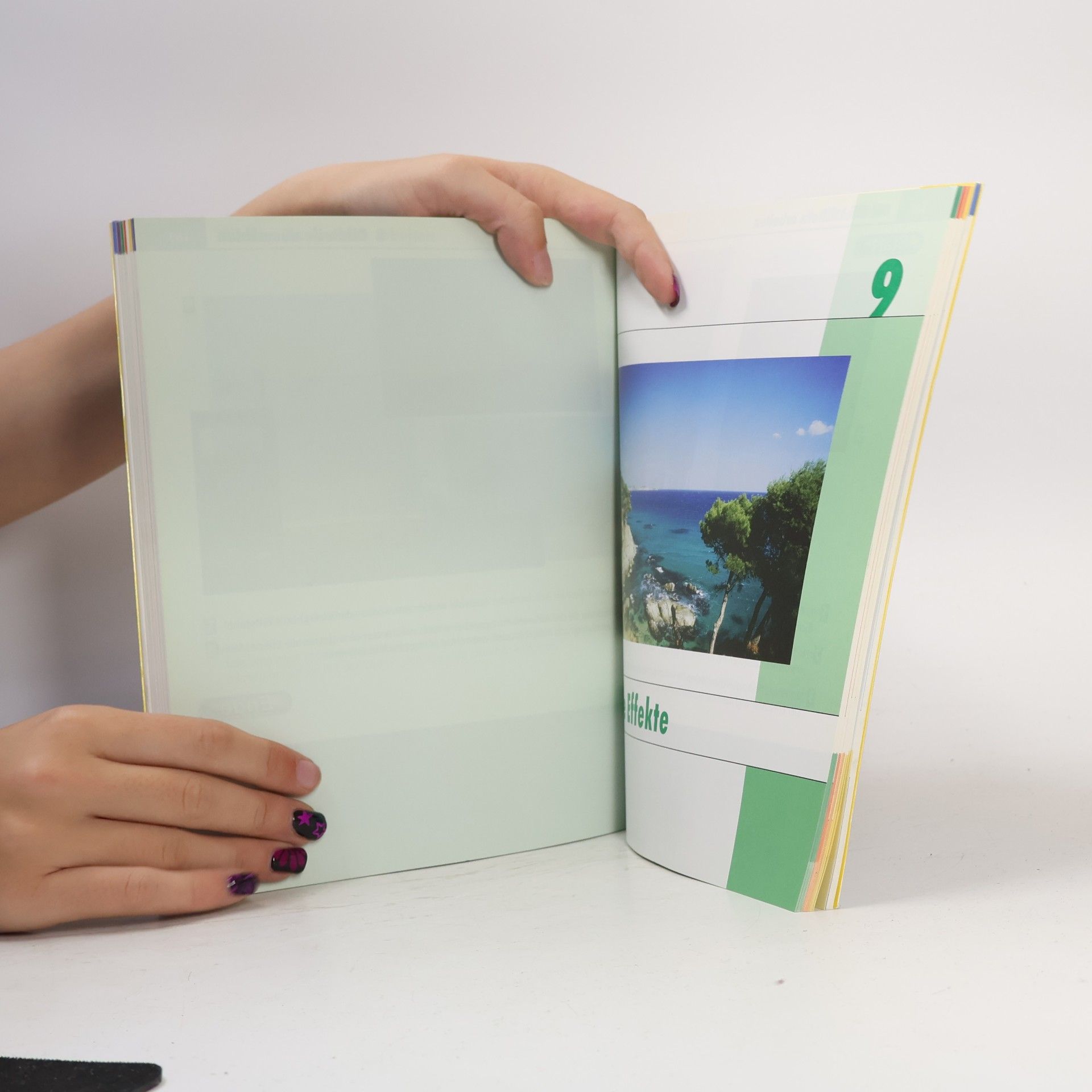 Michael Gradias Photoshop Elements 6.0