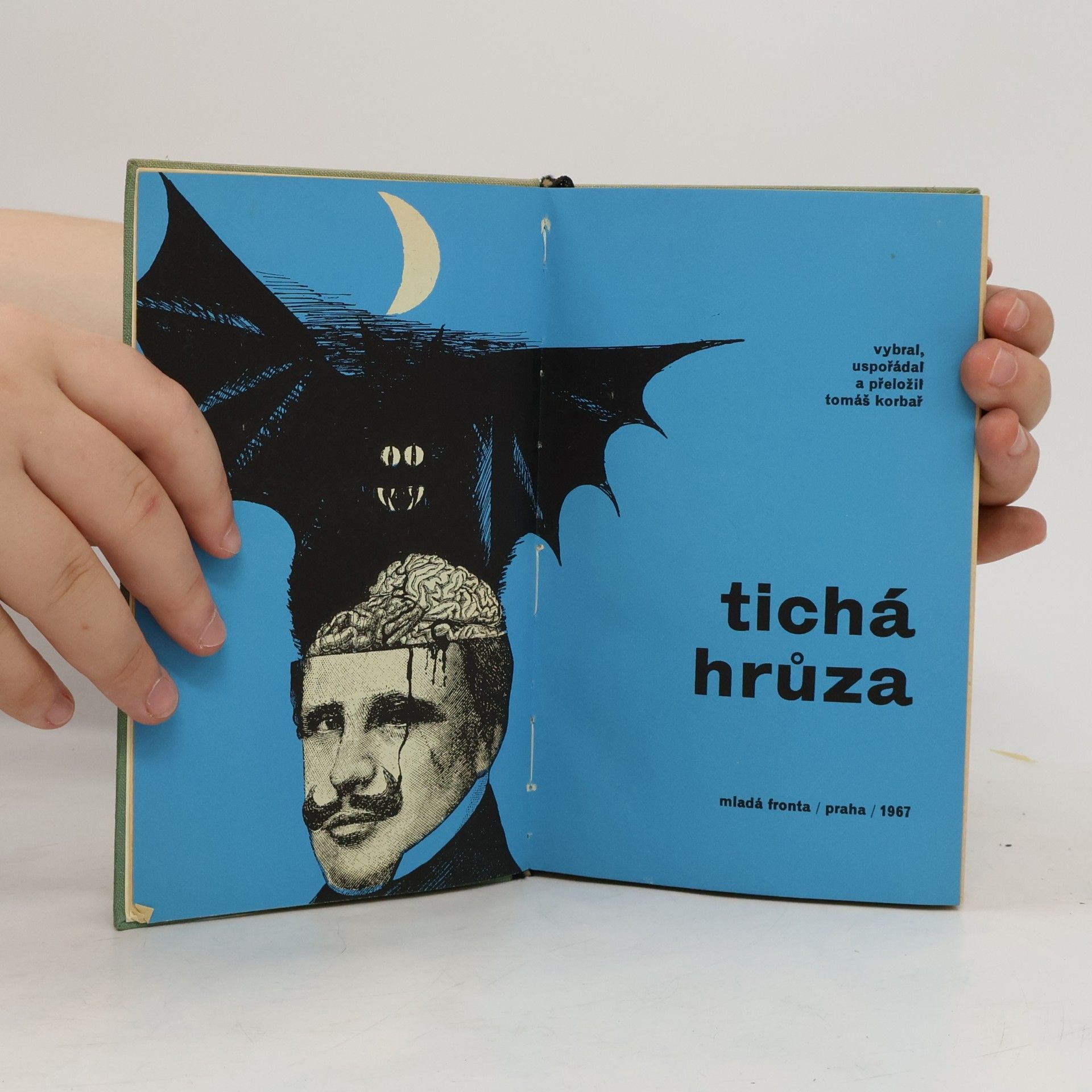 Kolektiv autorů Tichá hrůza