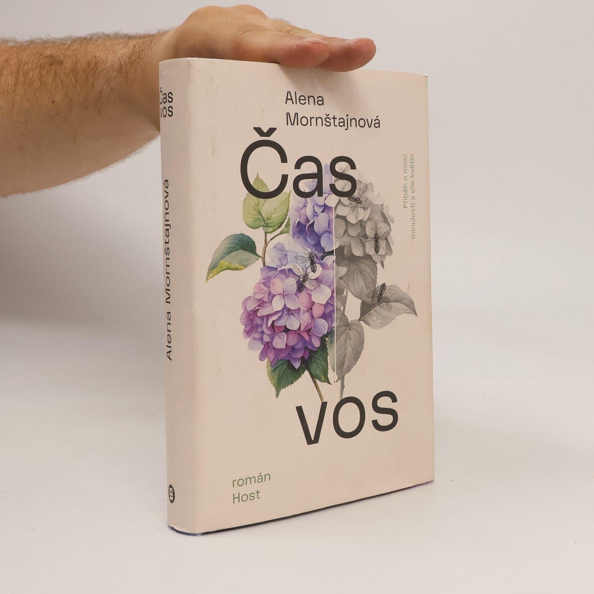 Alena Mornštajnová Čas vos