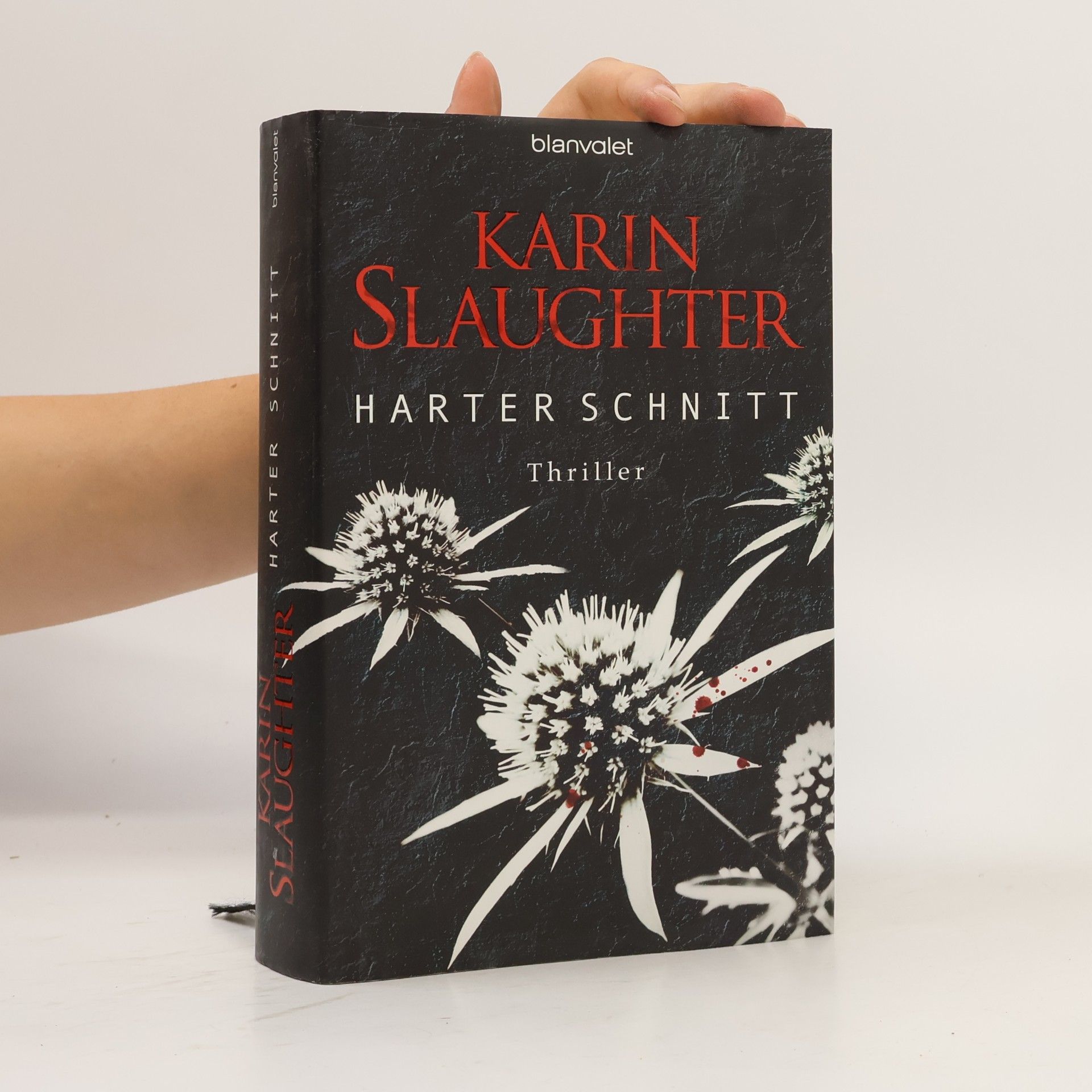 Karin Slaughter Harter Schnitt