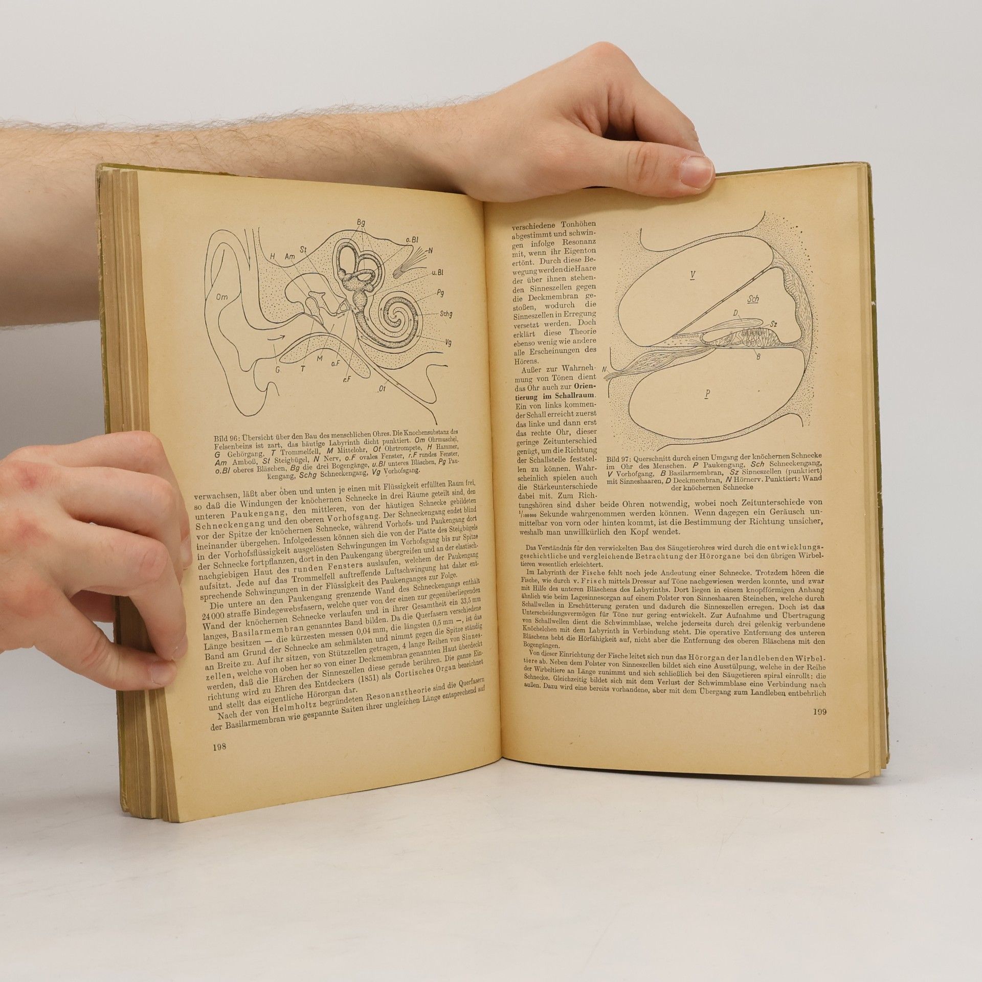 Hermann Linder Biologie