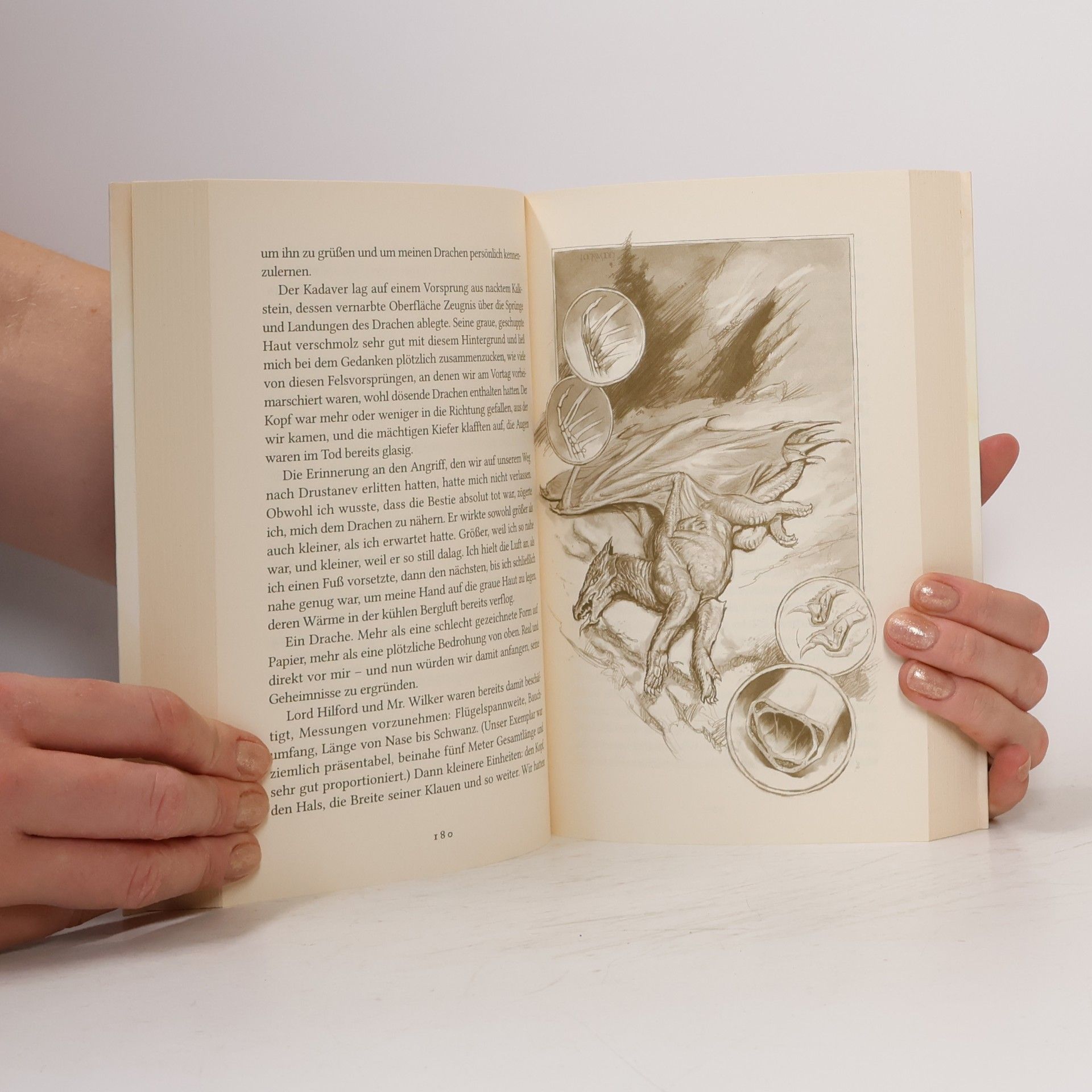 Marie Brennan Die Naturgeschichte der Drachen
