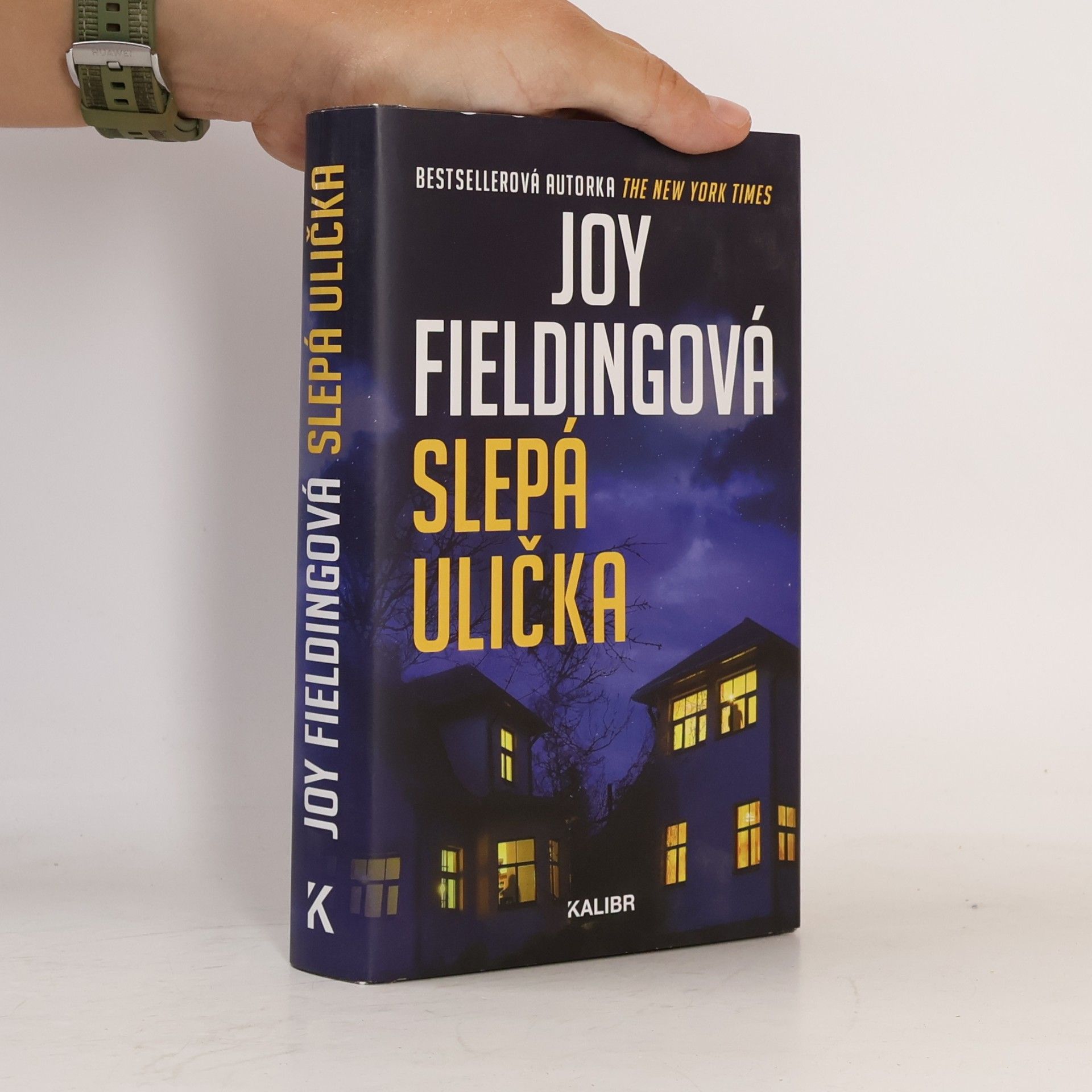 Joy Fielding Slepá ulička
