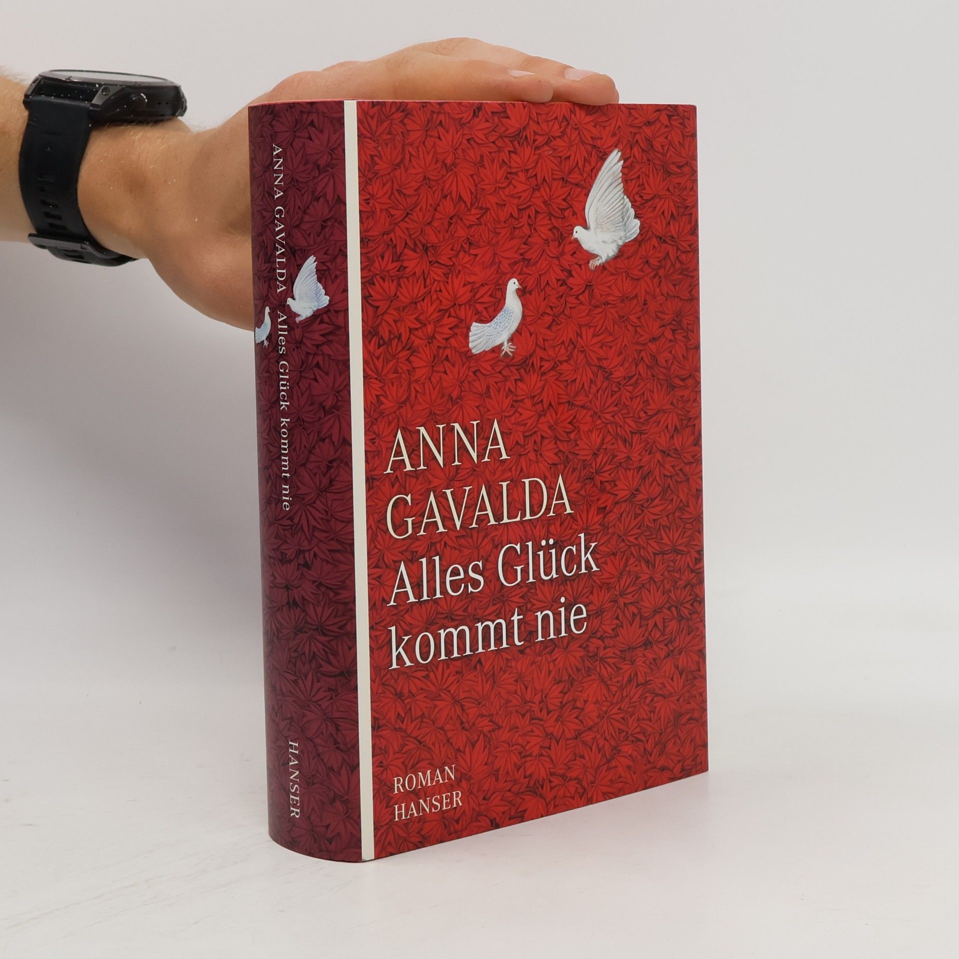 Anna Gavalda Alles Glück kommt nie