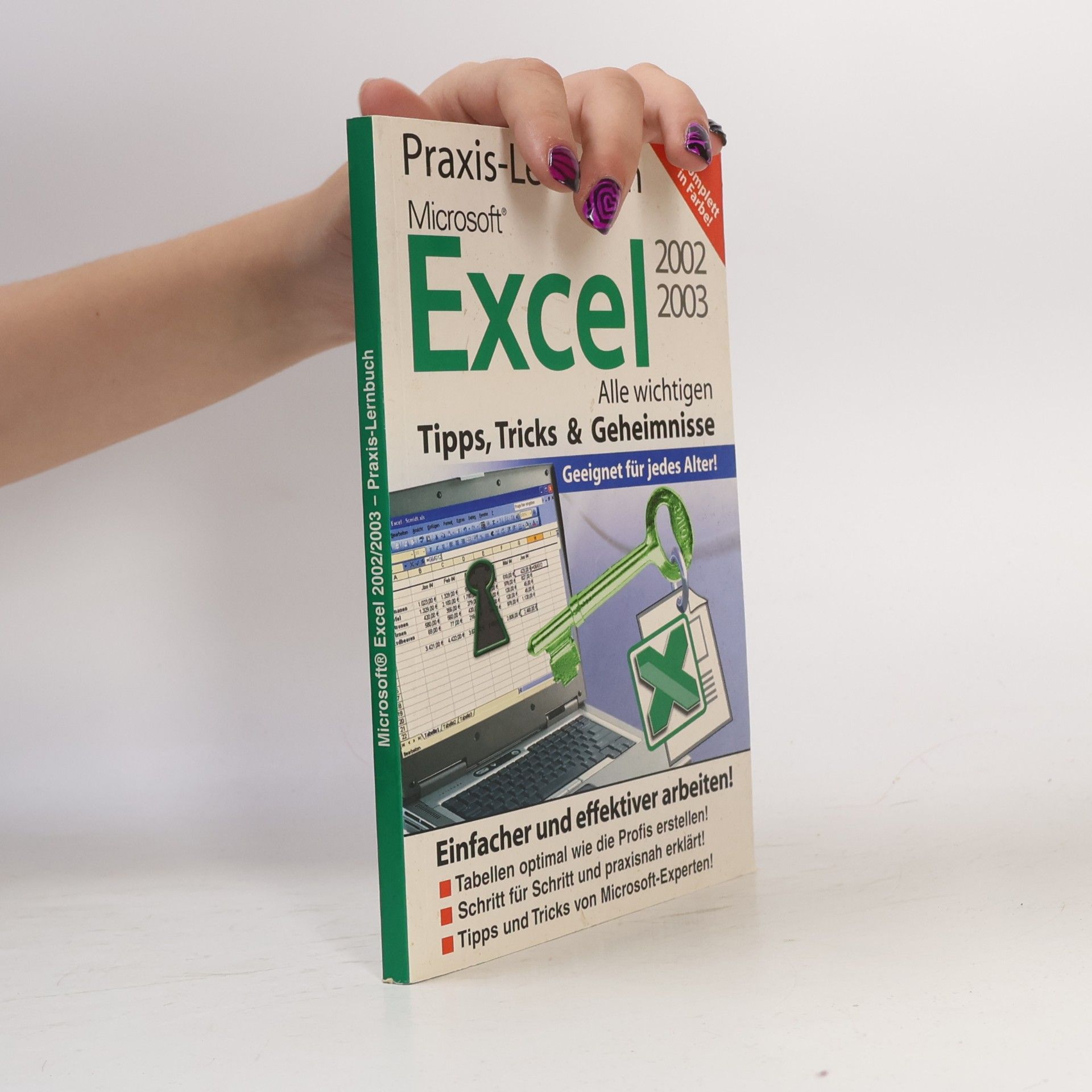 Microsoft Excel 2002, 2003