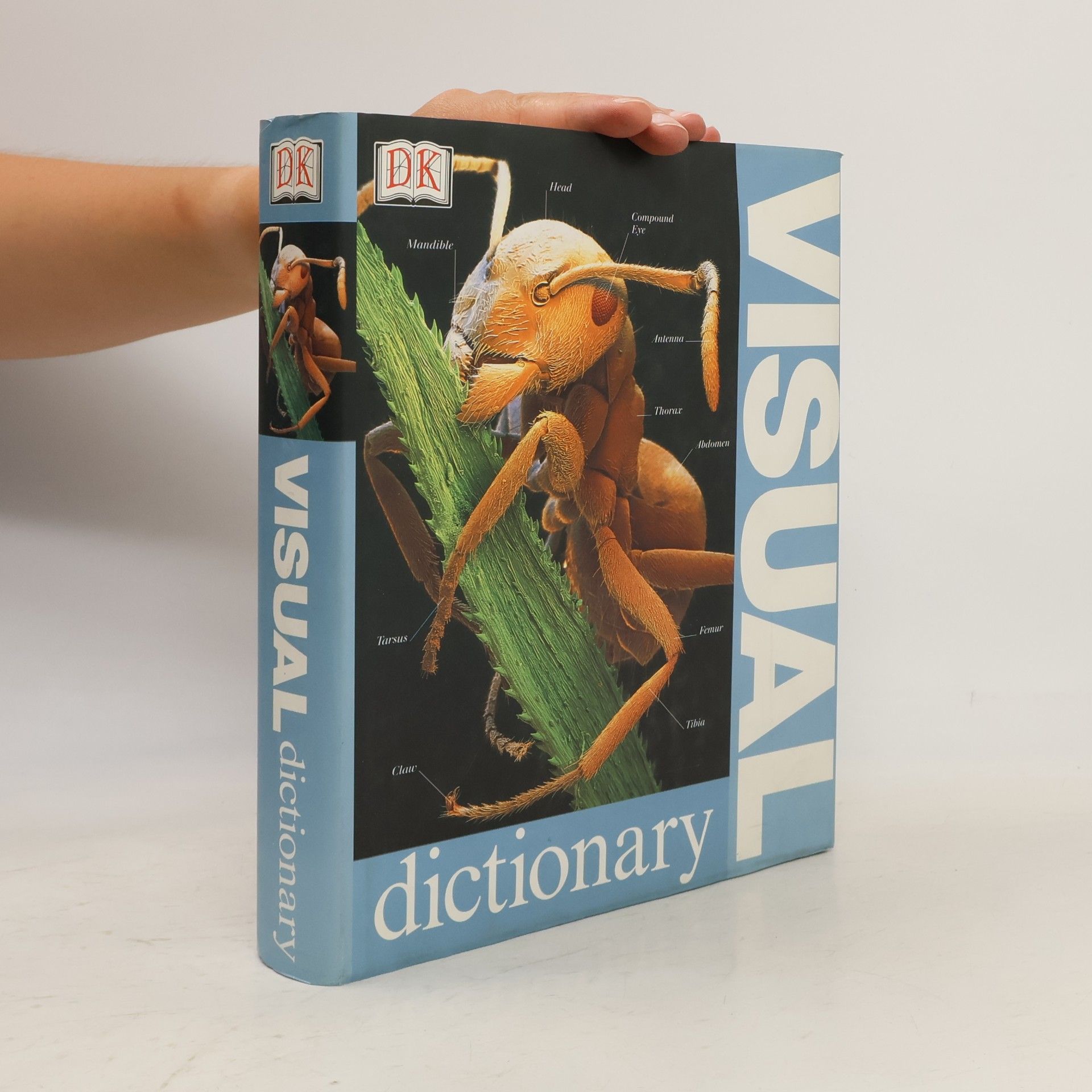 Autores varios Visual Dictionary