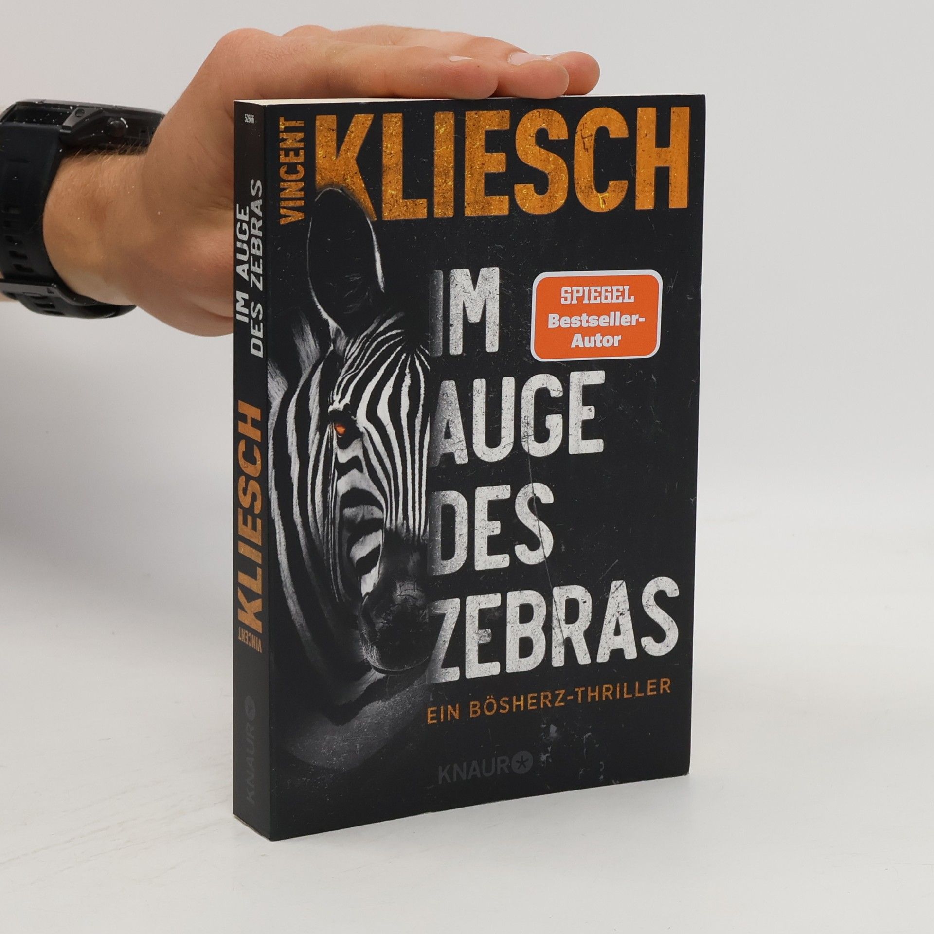 Vincent Kliesch Im Auge des Zebras