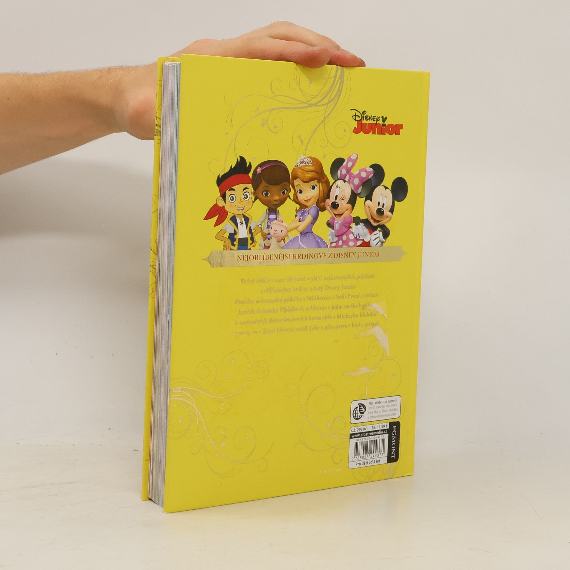 Autorenkollektiv Velká kniha pohádek - Disney junior