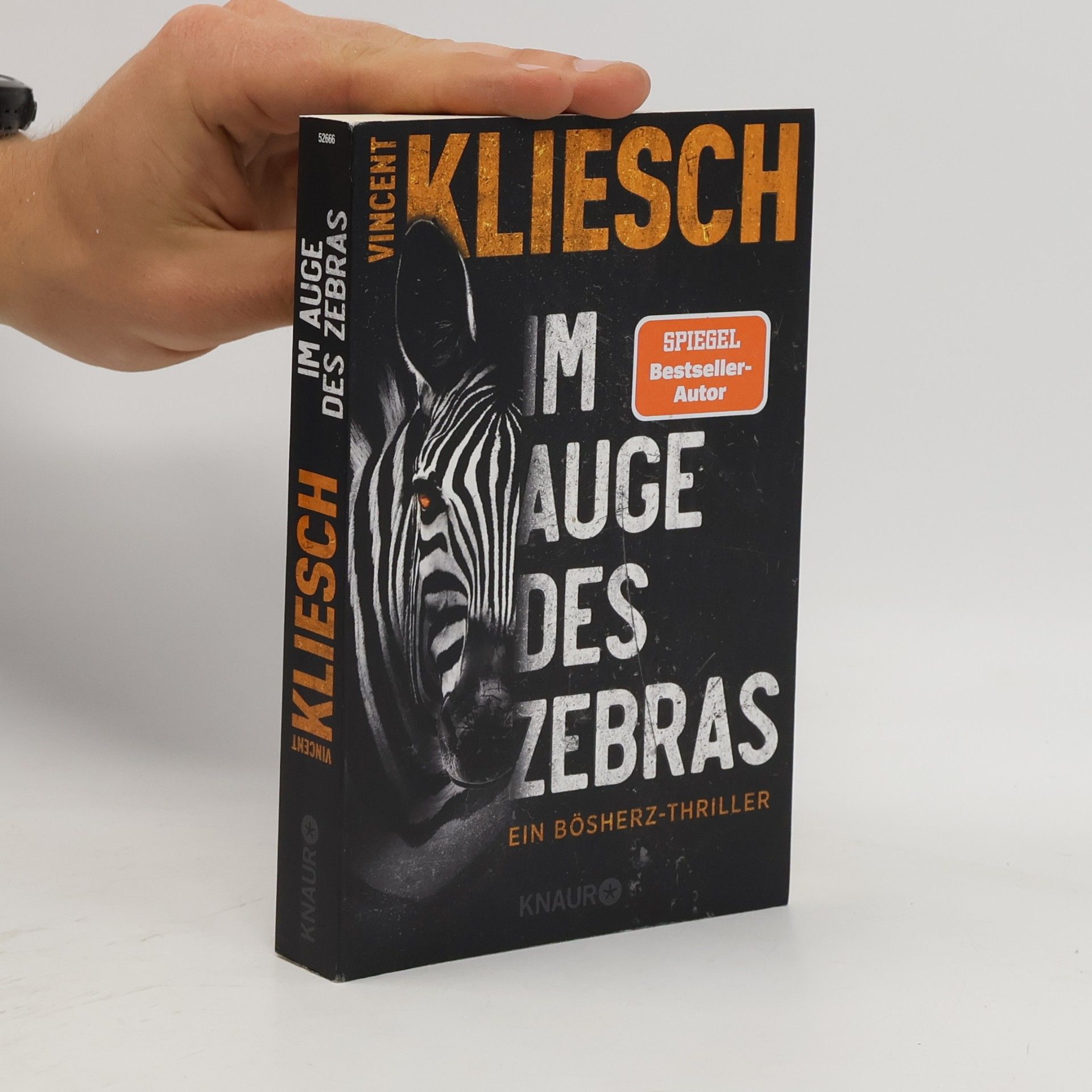 Vincent Kliesch Im Auge des Zebras