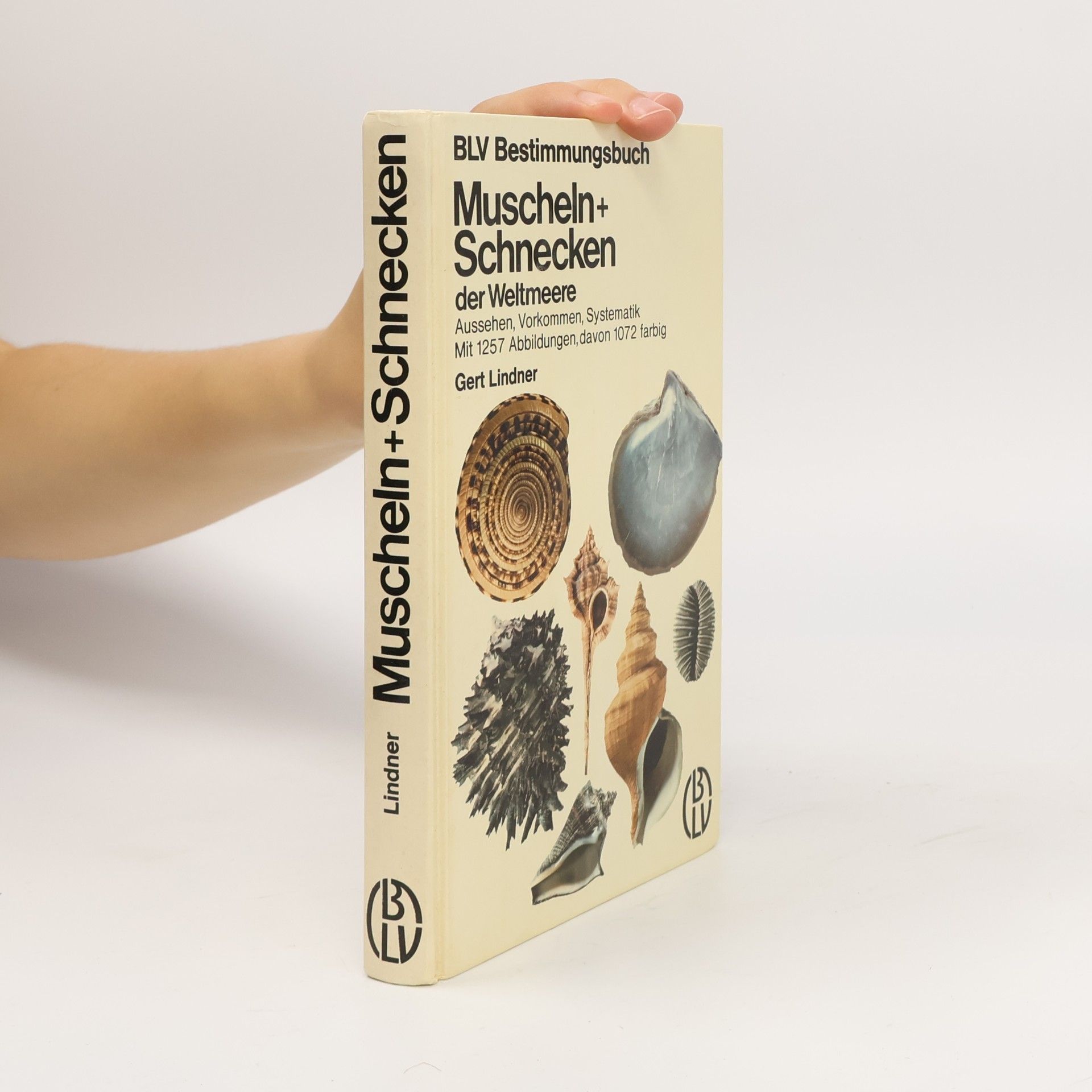 Muscheln + [und] Schnecken der Weltmeere