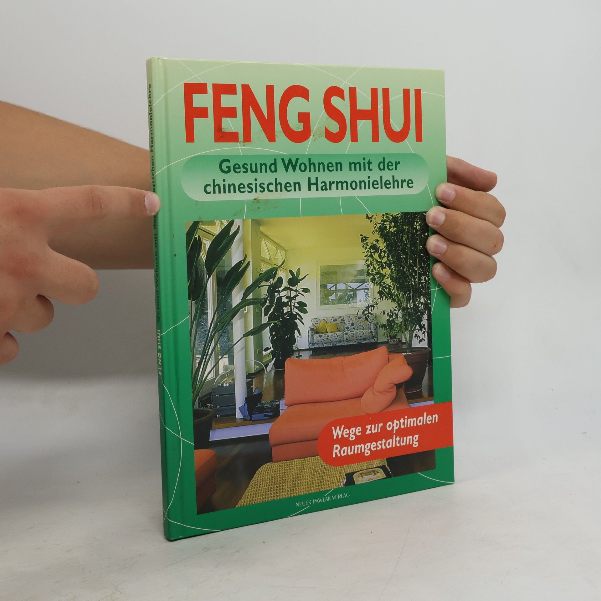 Georgia Schwarz Feng Shui
