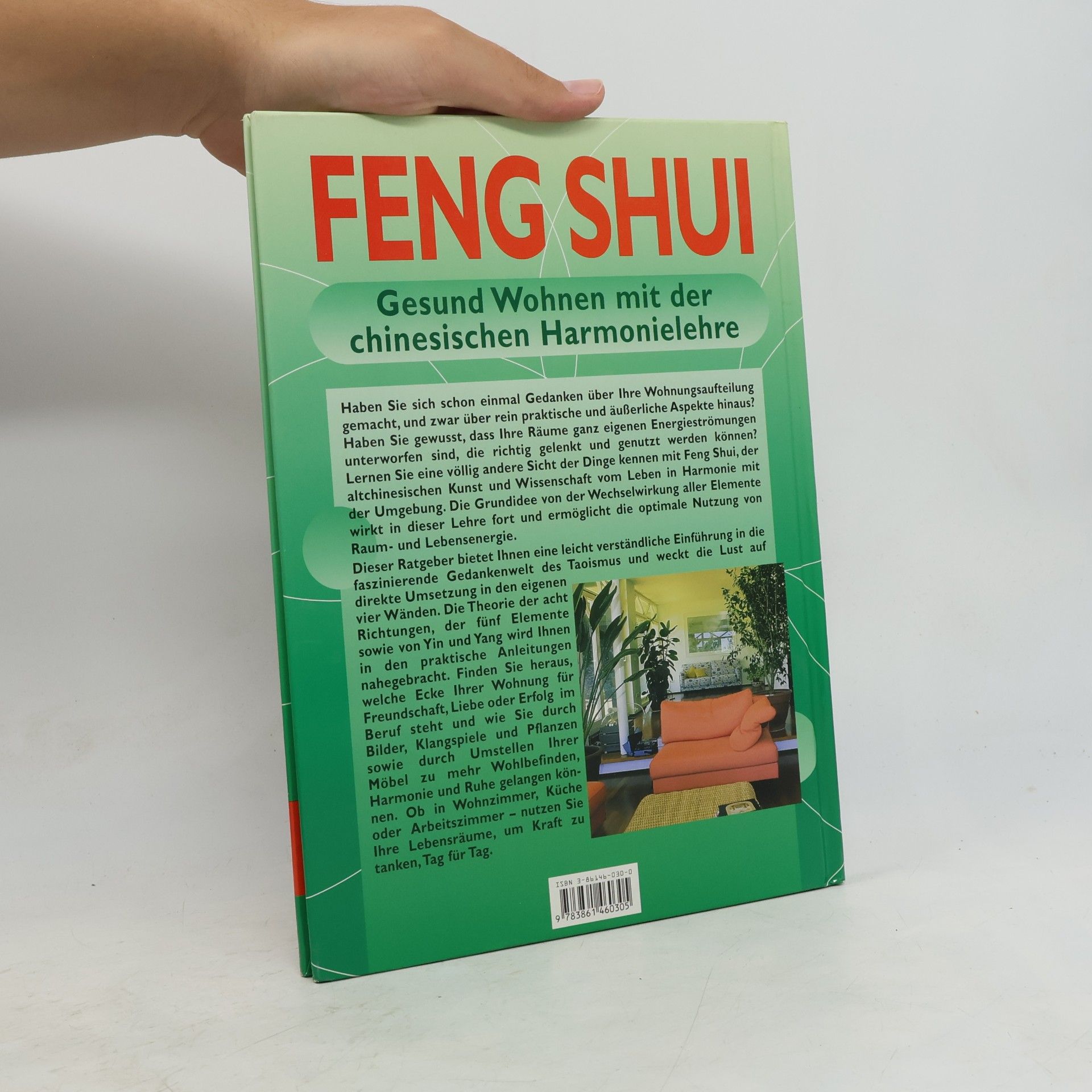 Georgia Schwarz Feng Shui
