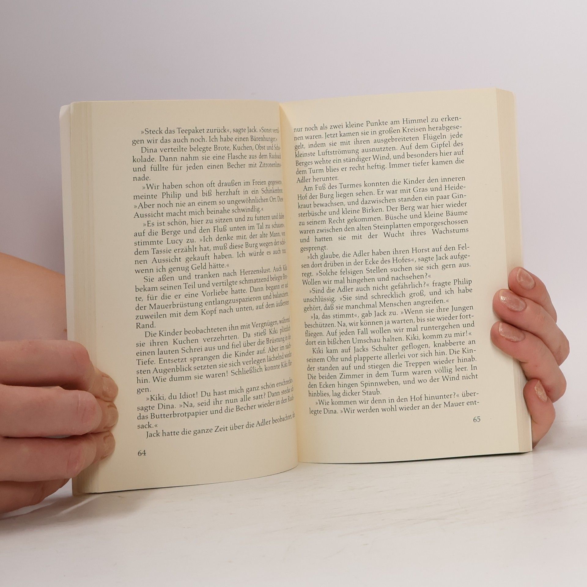 Enid Blyton Die Burg der Abenteuer