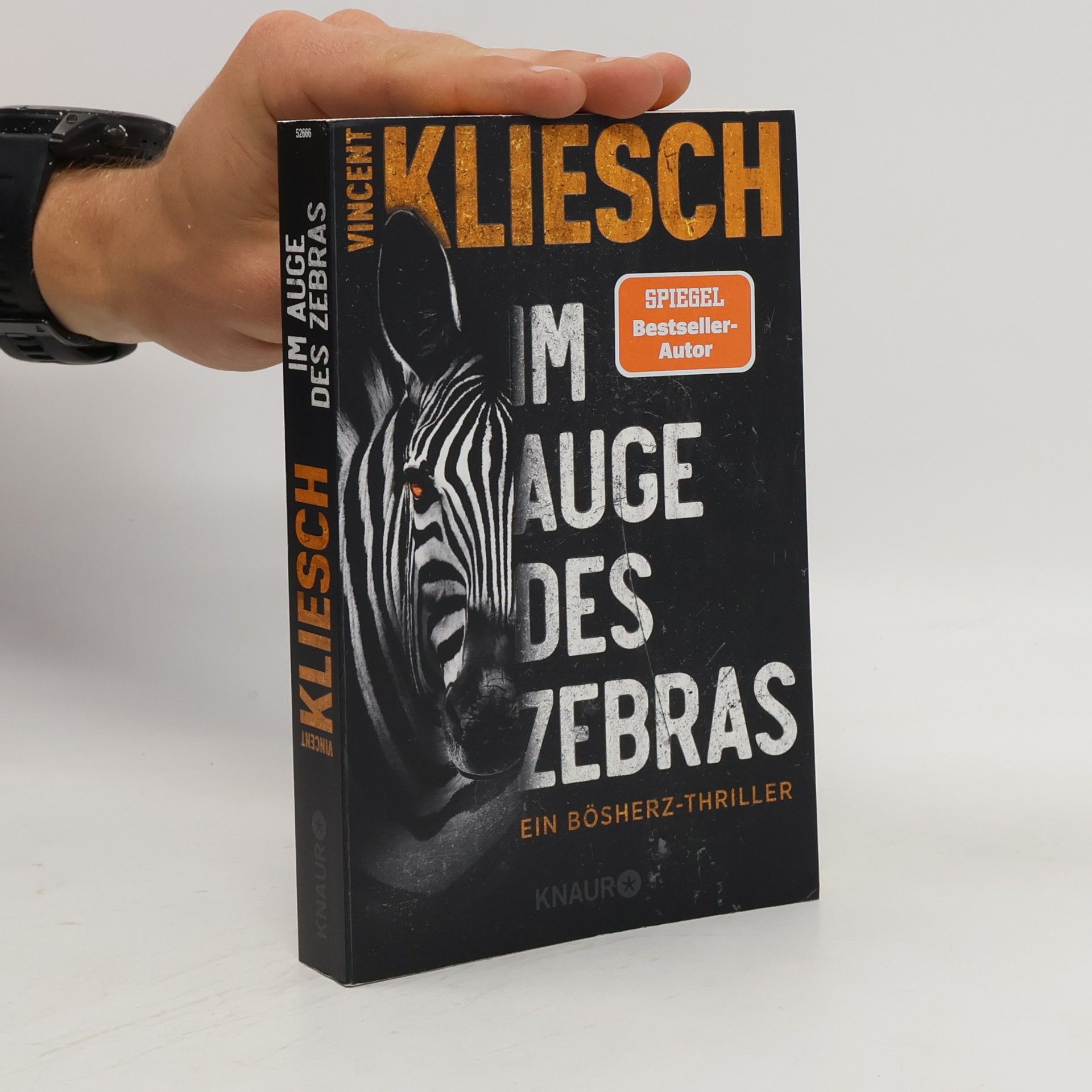 Vincent Kliesch Im Auge des Zebras