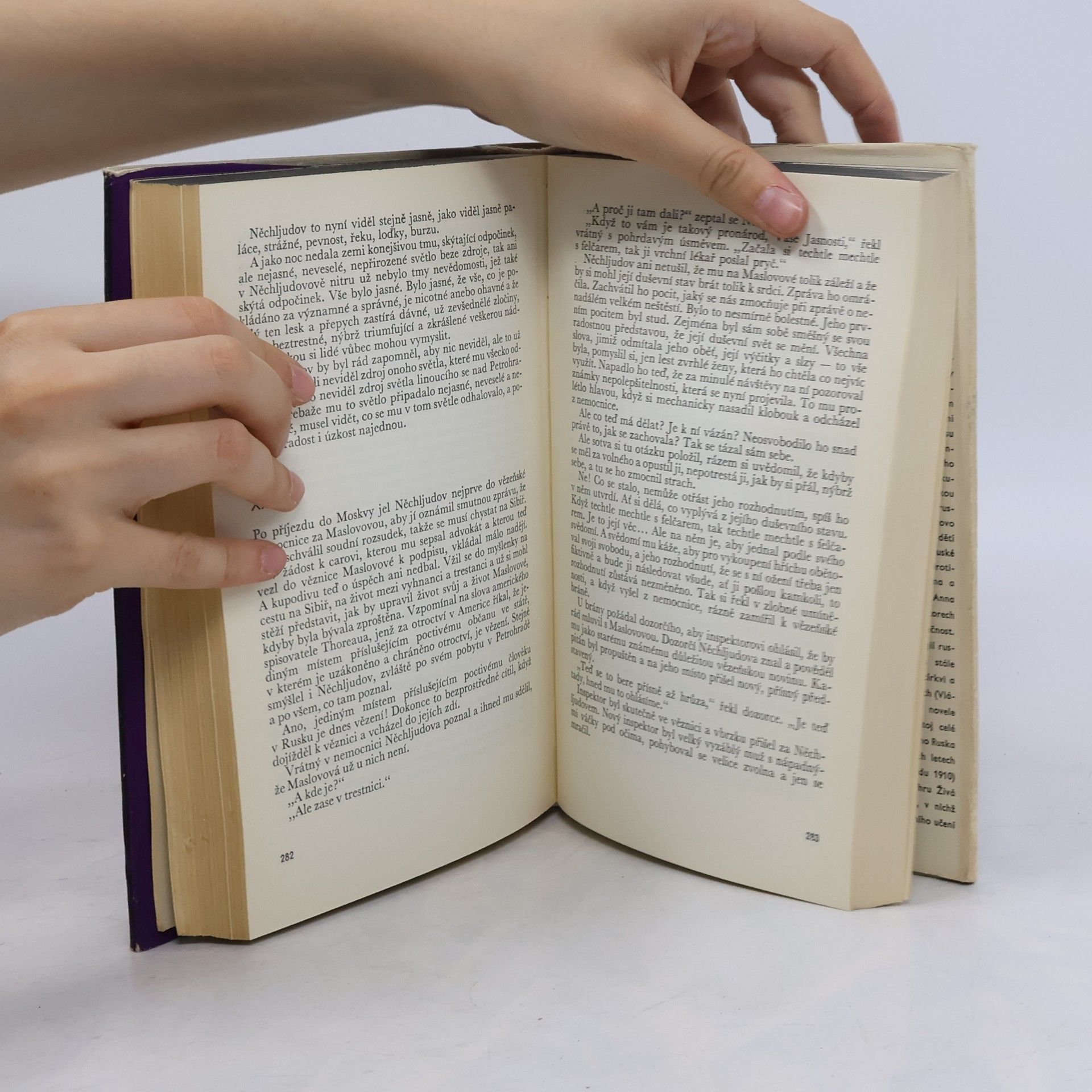 Lew Nikolajewitsch Tolstoi Vzkříšení