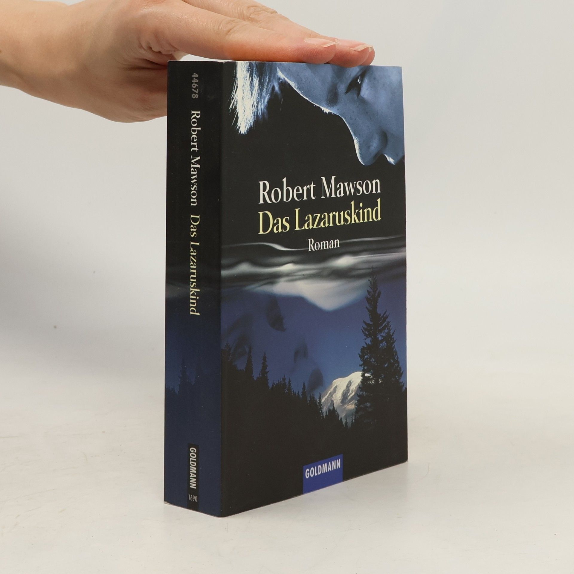 Robert Mawson Das Lazaruskind