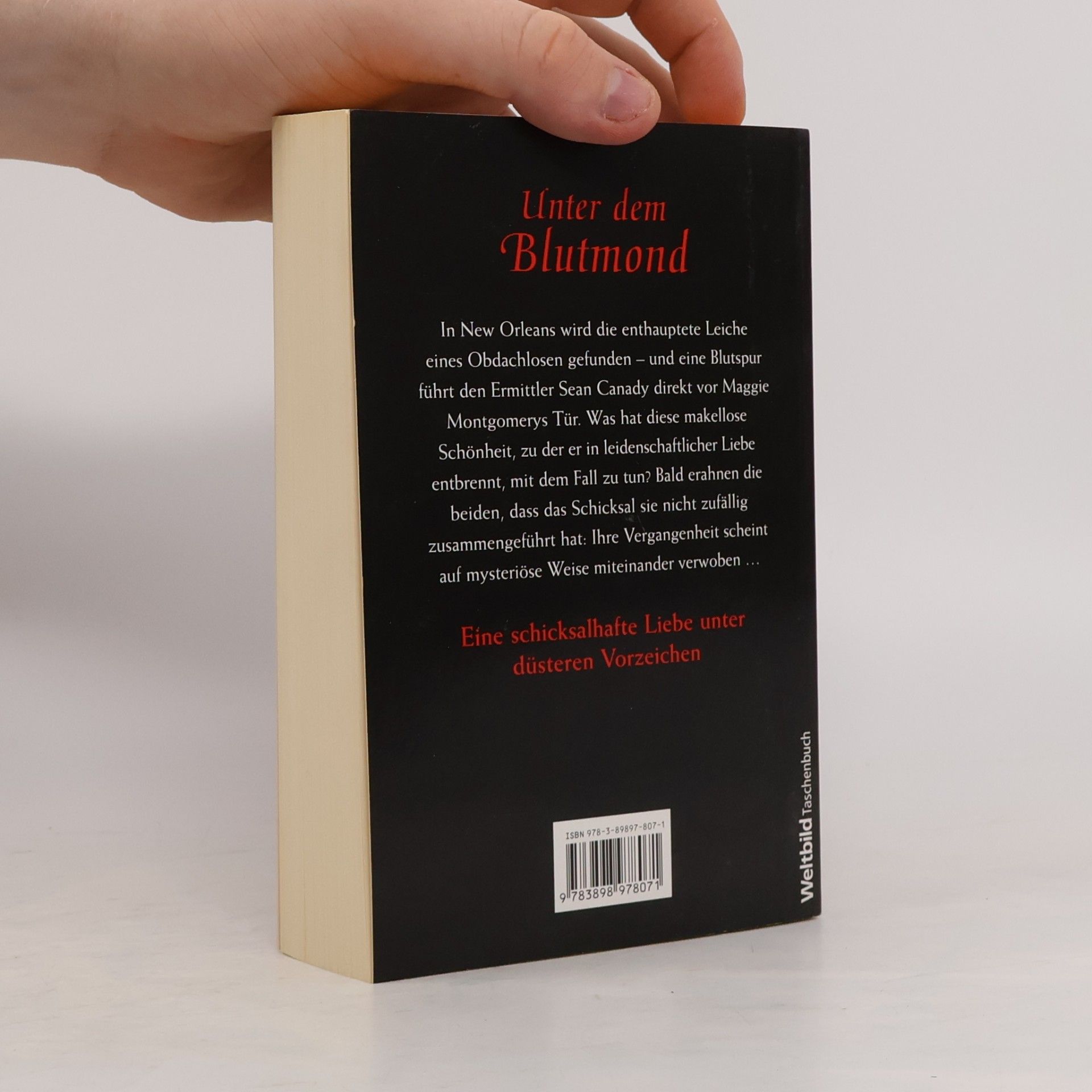 Shannon Drake Unter dem Blutmond