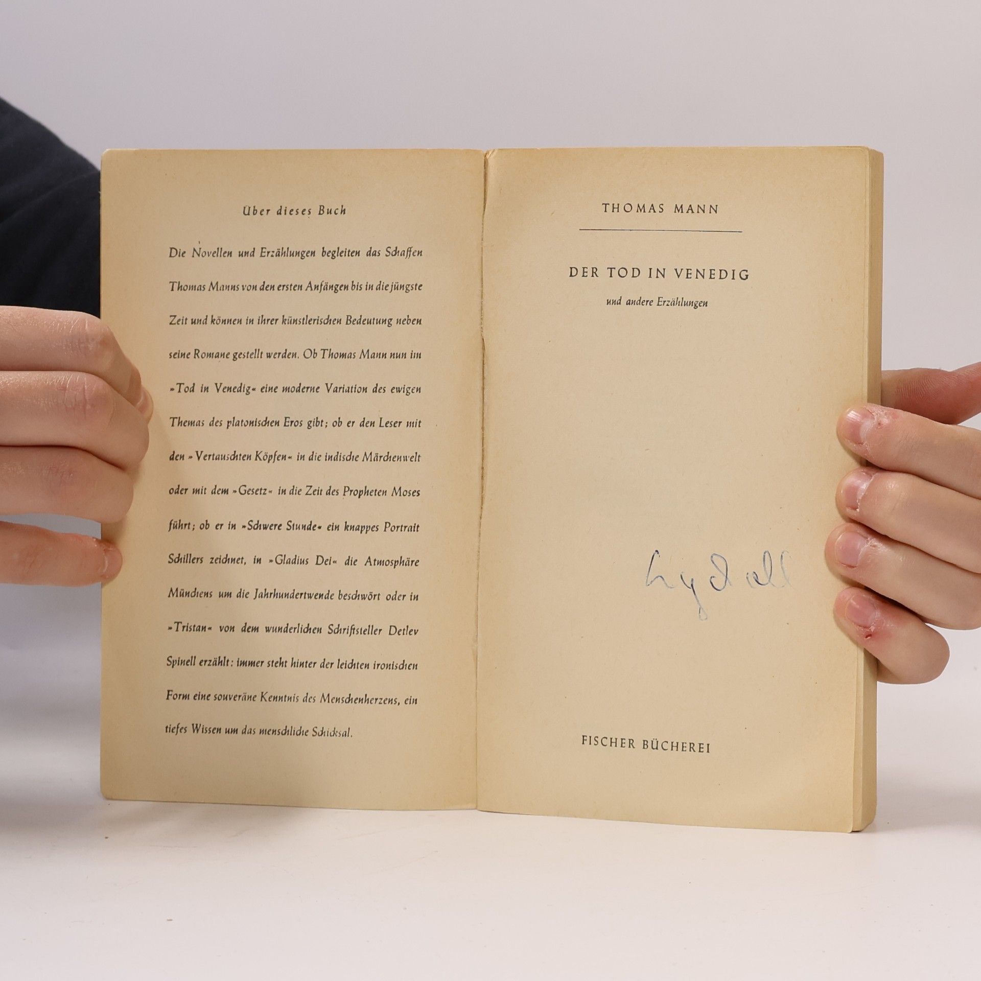 Thomas Mann Der Tod in Venedig