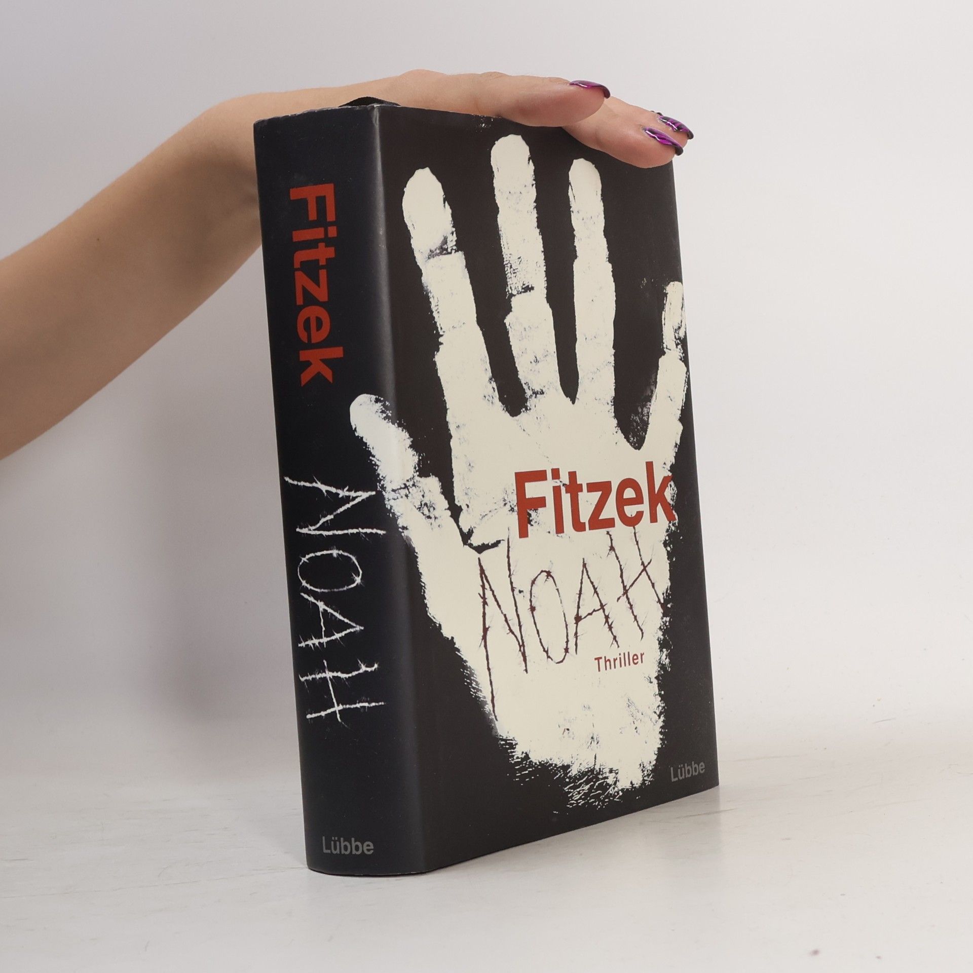 Sebastian Fitzek Noah