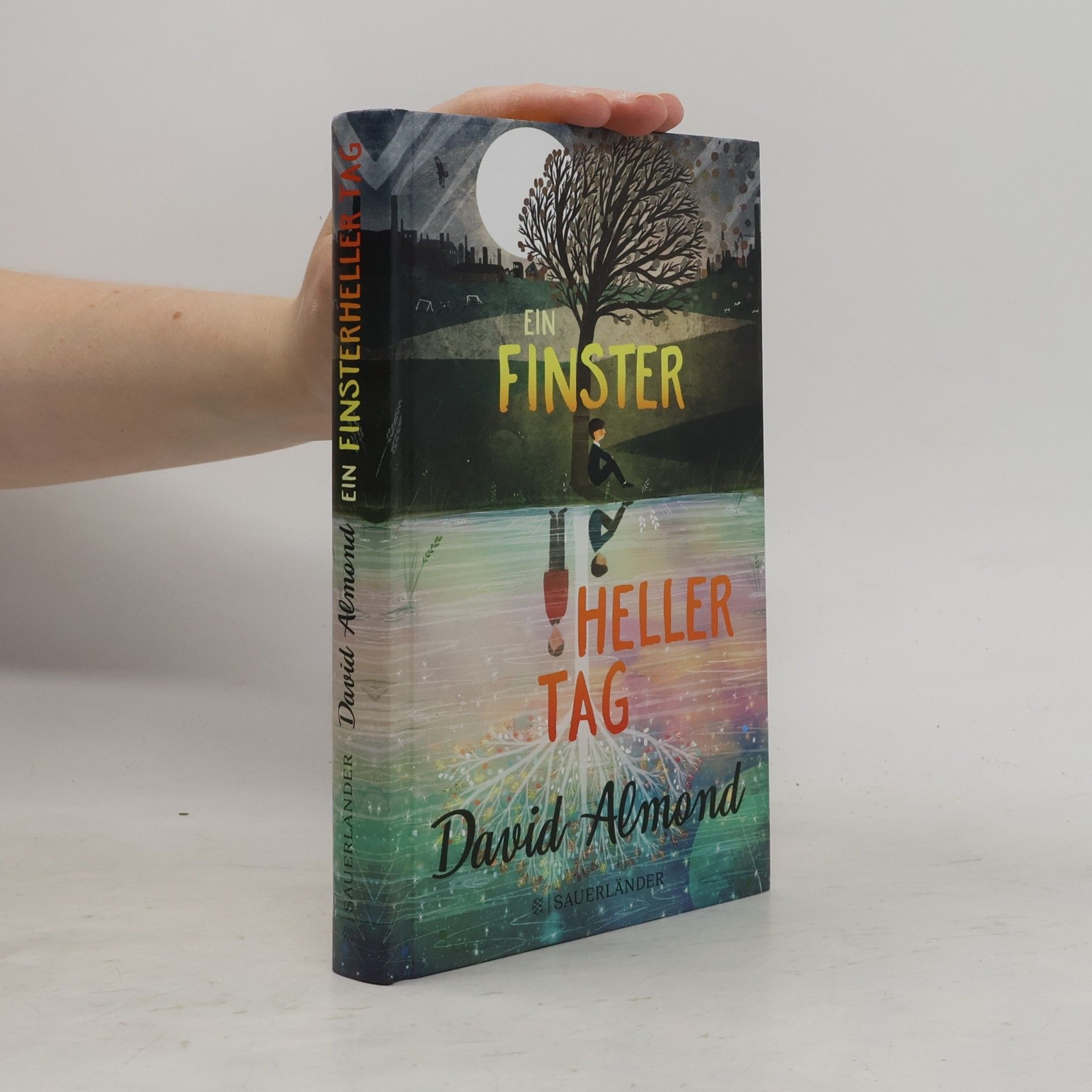 David Almond Ein finsterheller Tag