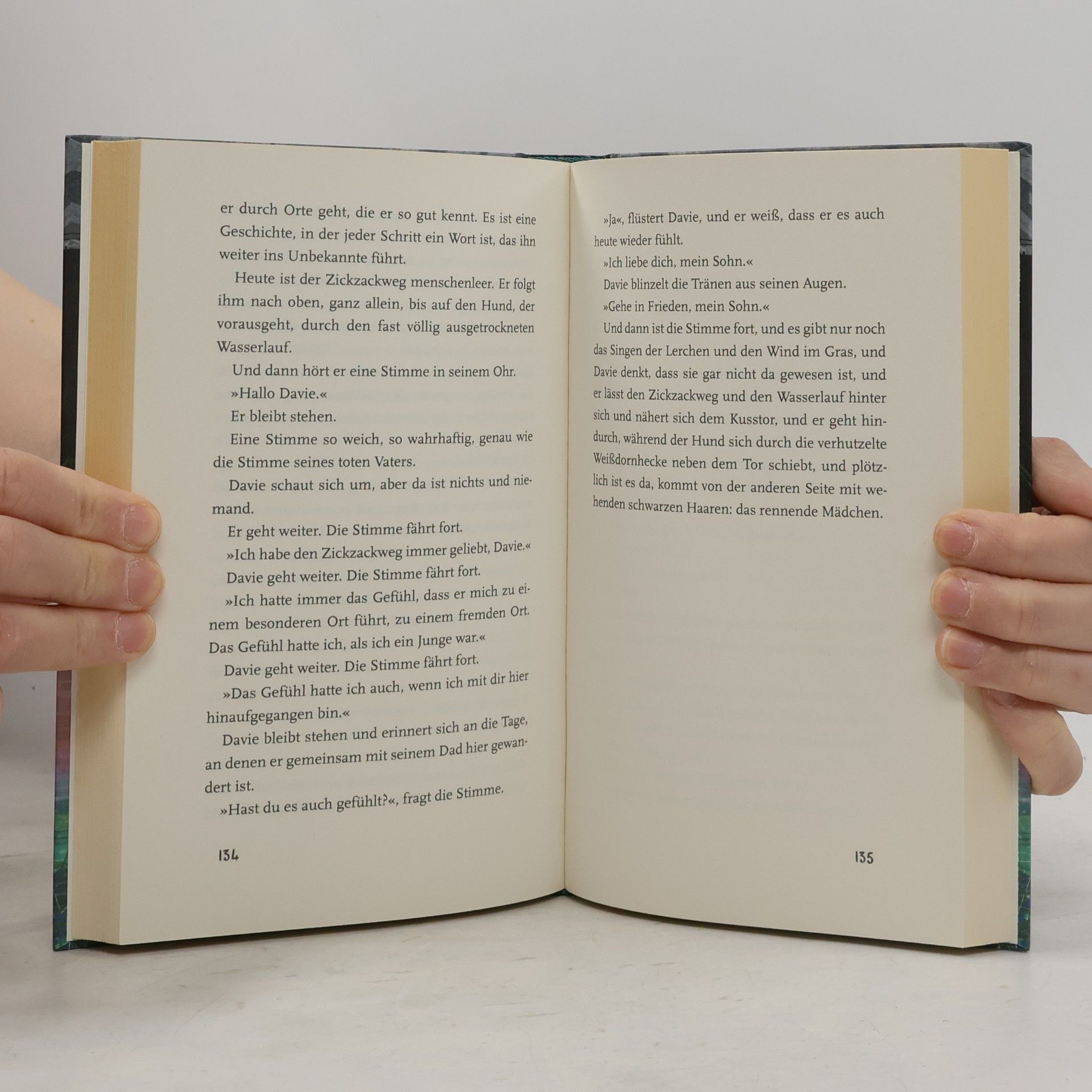 David Almond Ein finsterheller Tag