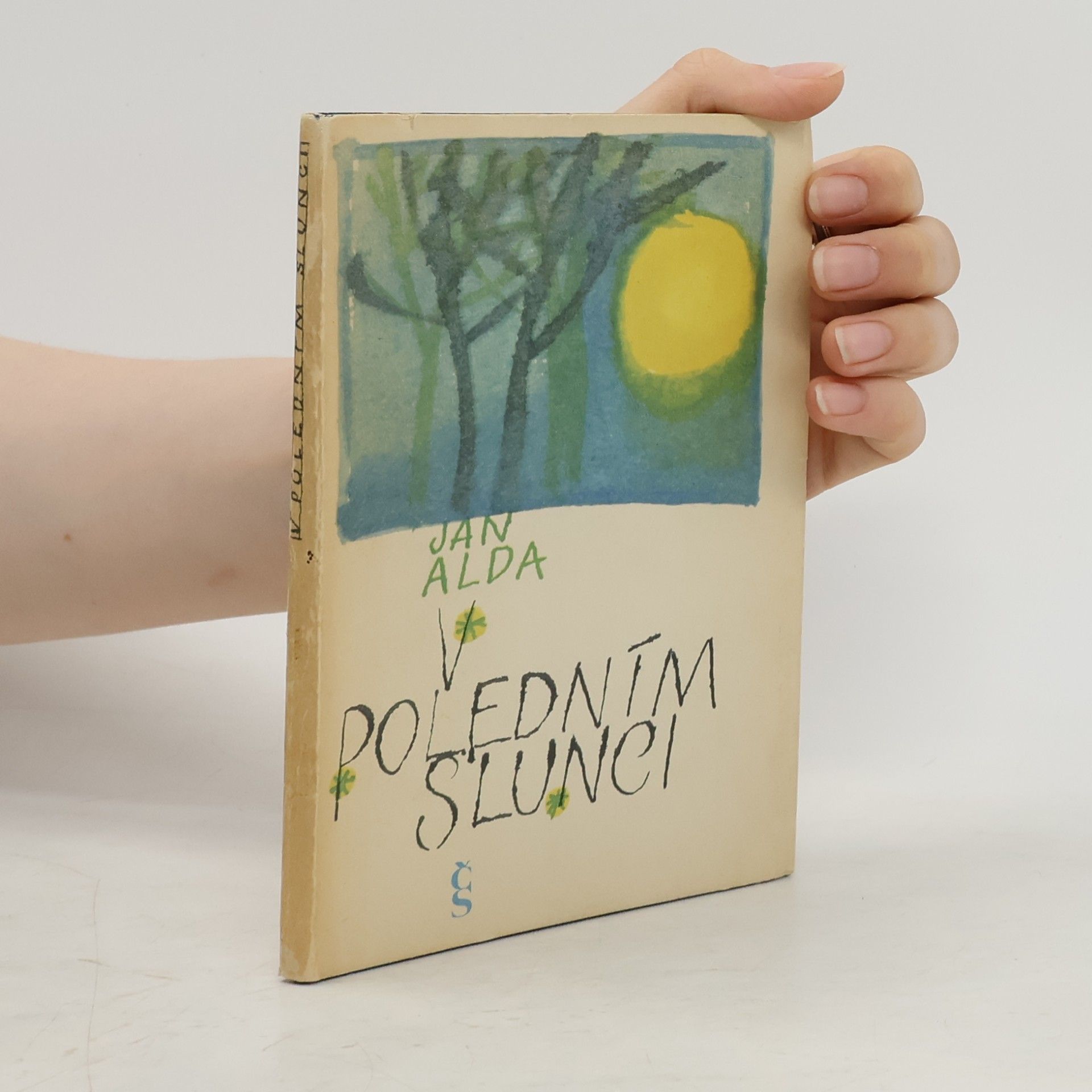 V poledním slunci