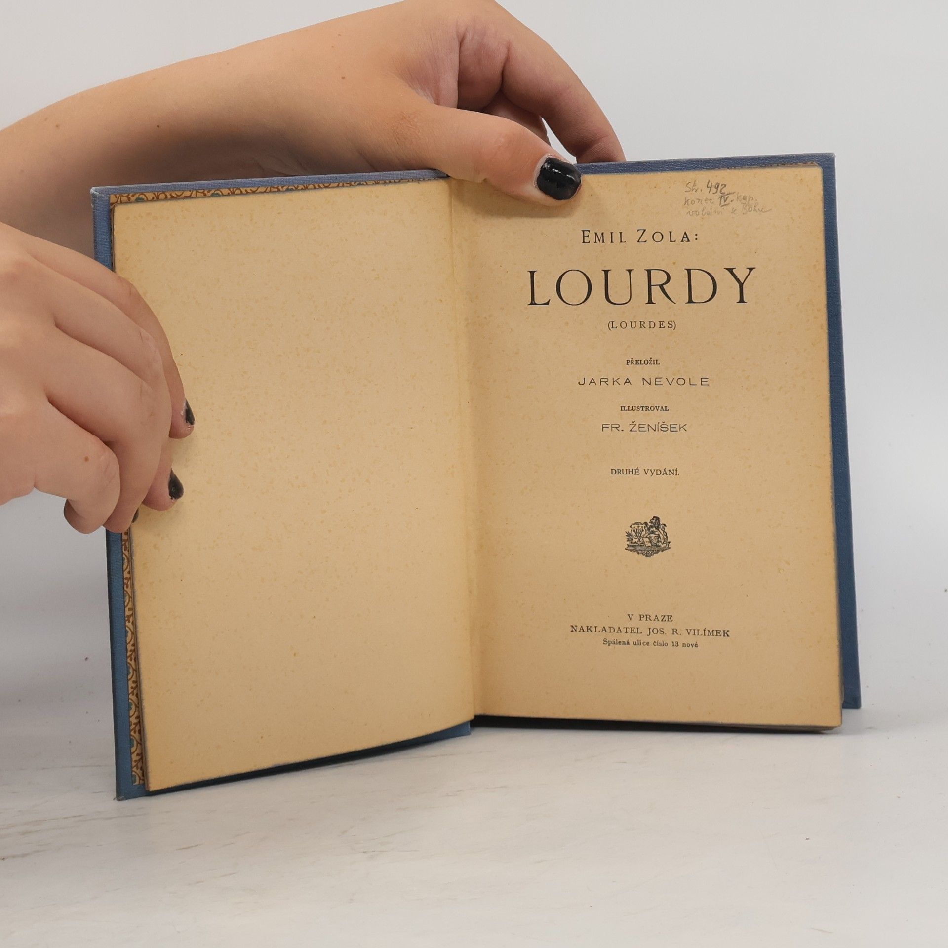 Émile Zola Lourdy