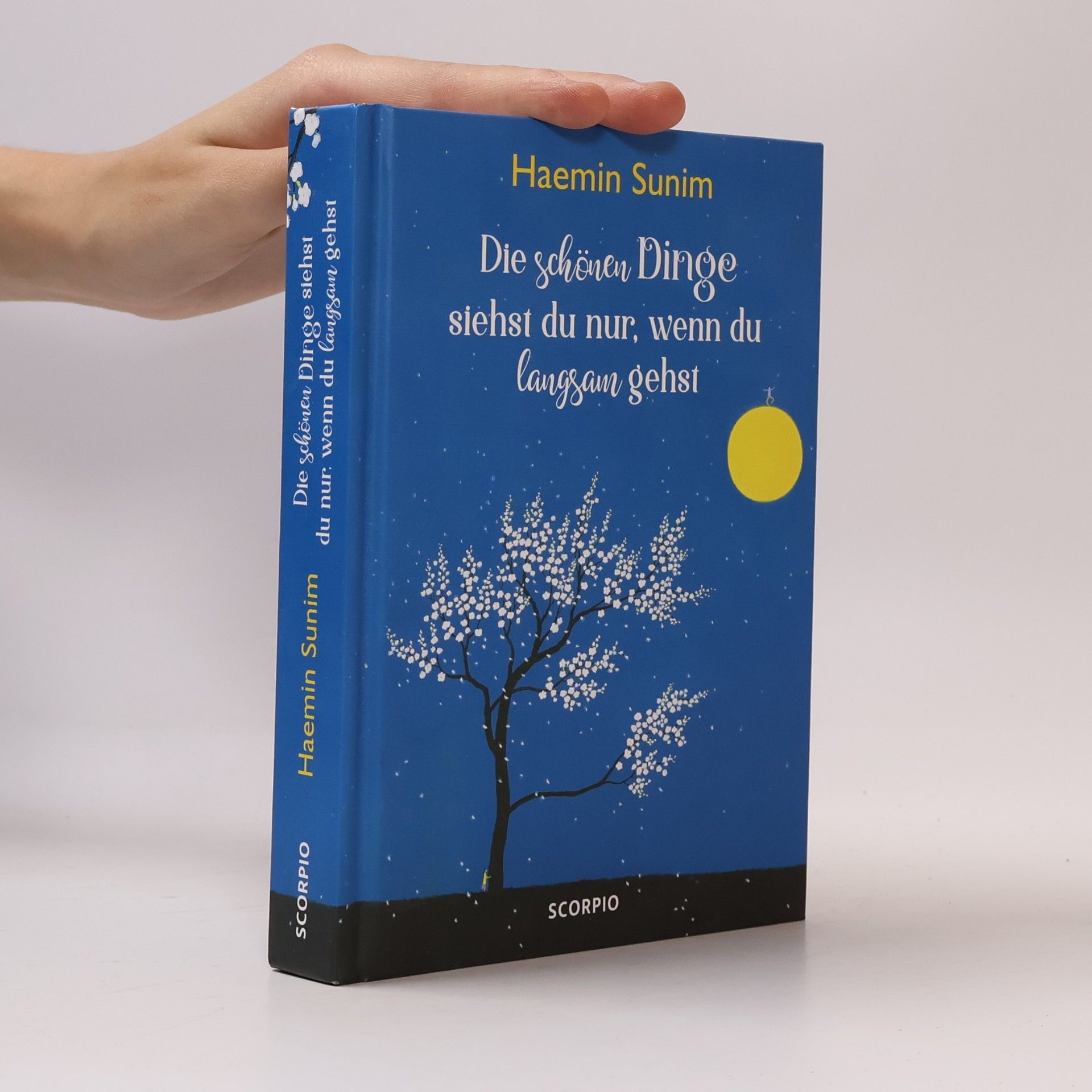 Haemin Die schönen Dinge siehst du nur, wenn du langsam gehst