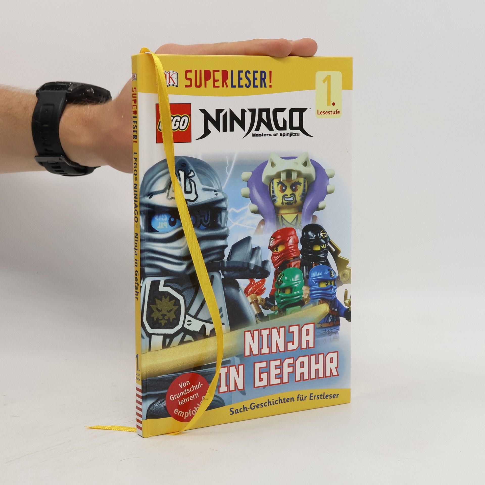 Julia March LEGO Ninjago. Masters of spinjitzu. Ninja in Gefahr